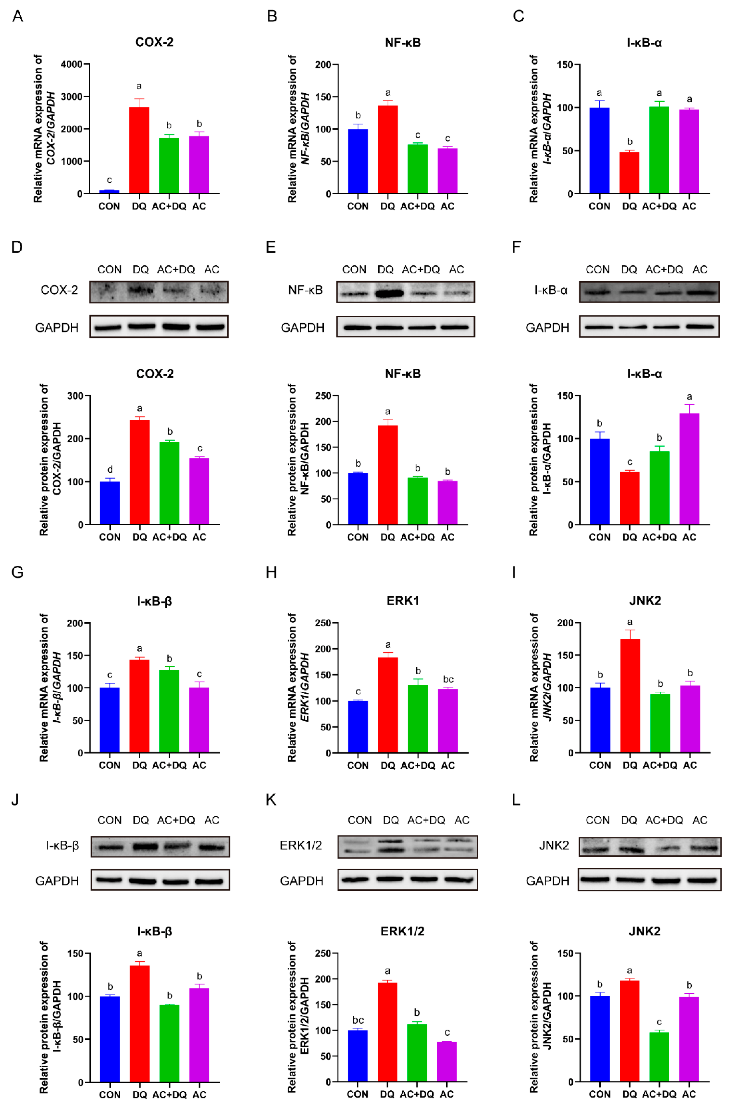 Antioxidants 11 02002 g007