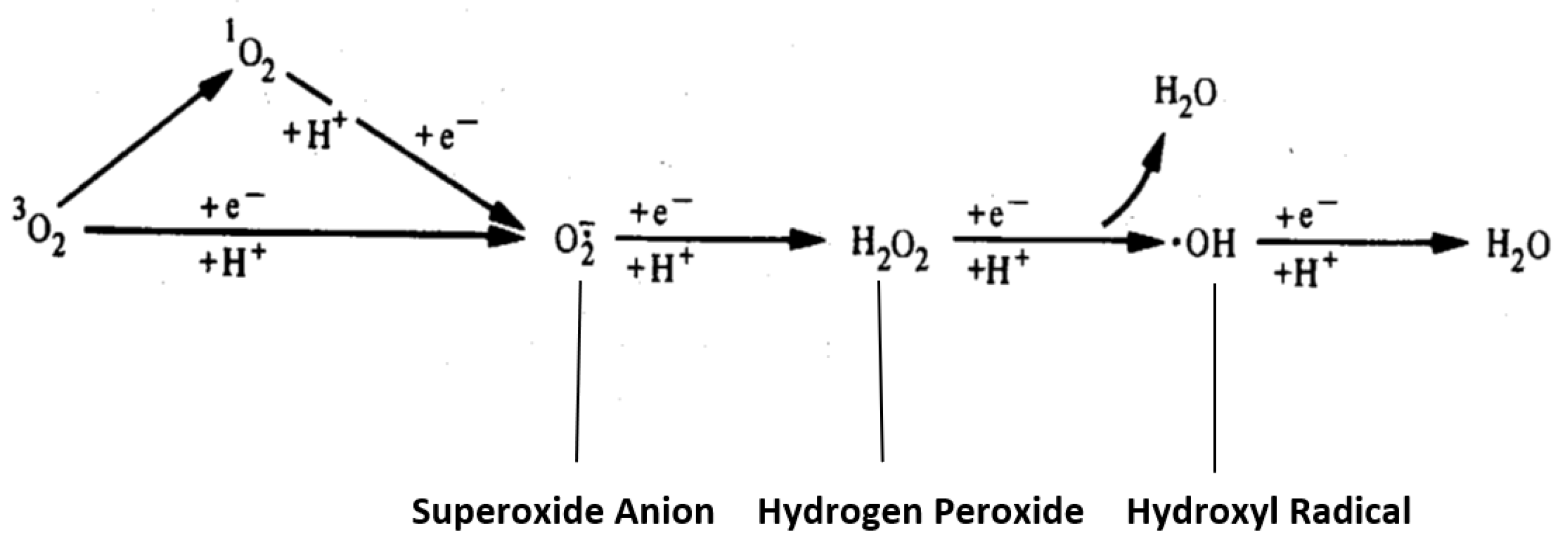 Antioxidants 11 02003 g001