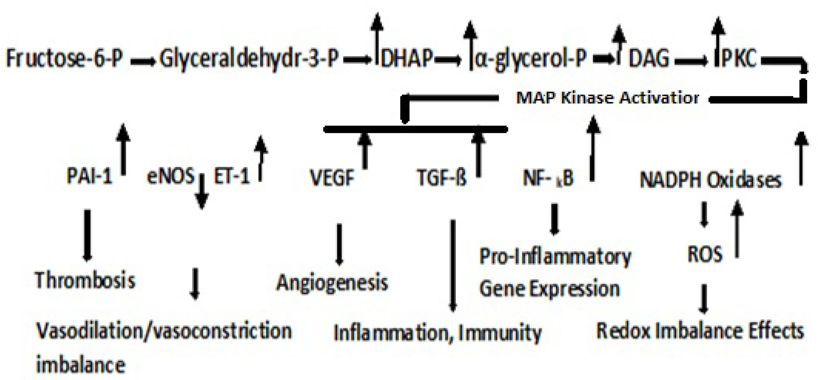 Antioxidants 11 02003 g006