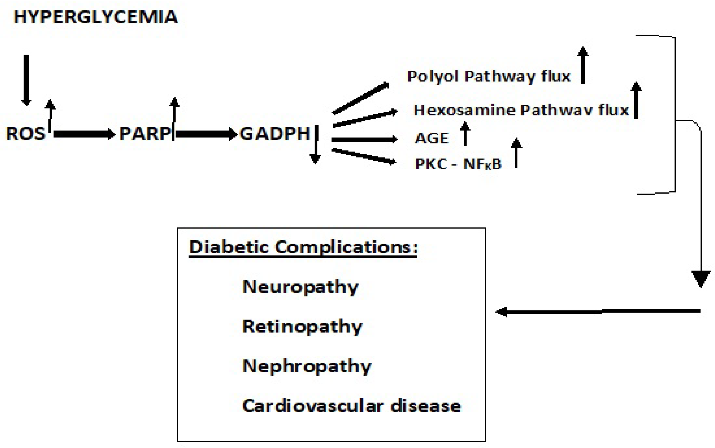 Antioxidants 11 02003 g007