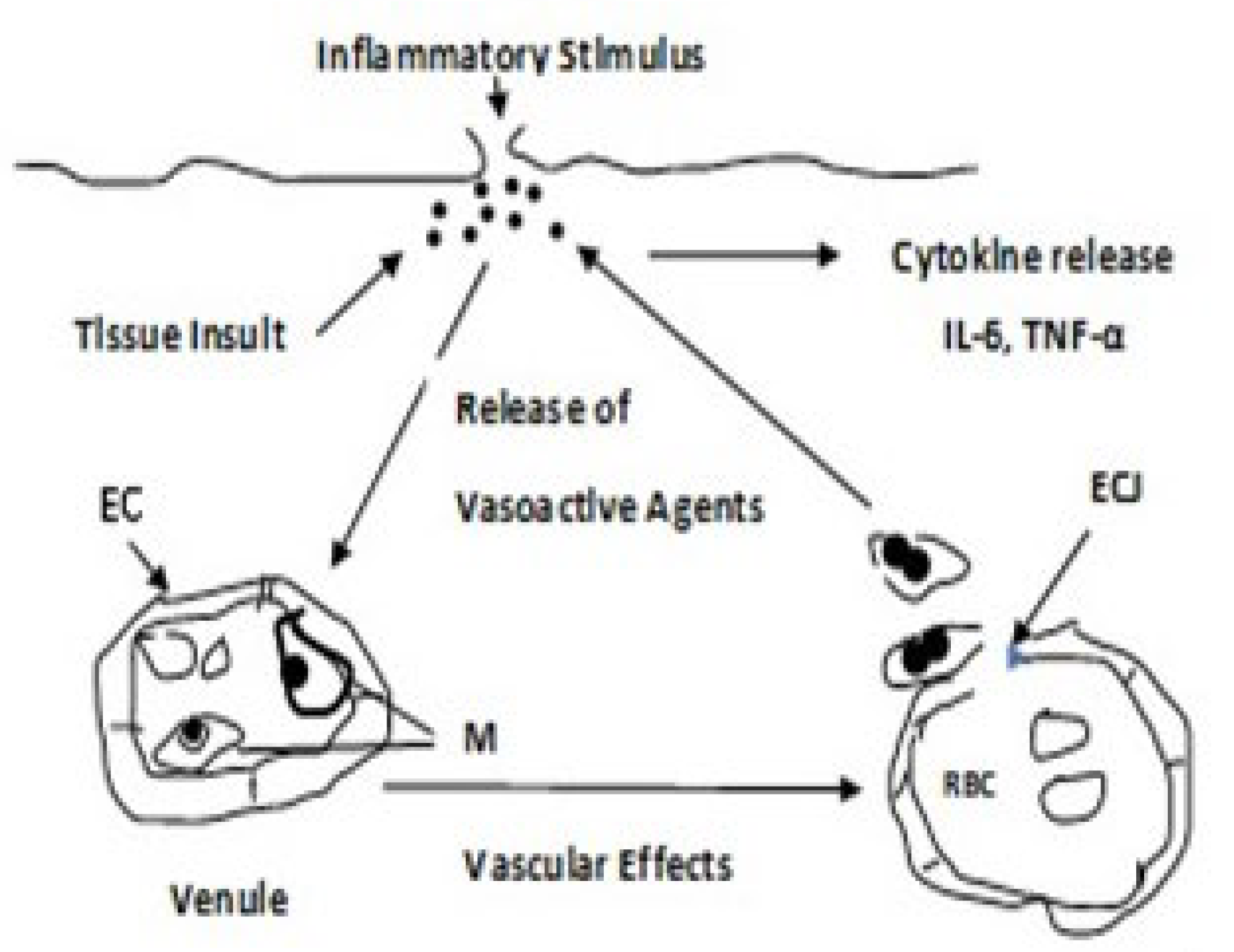 Antioxidants 11 02003 g009