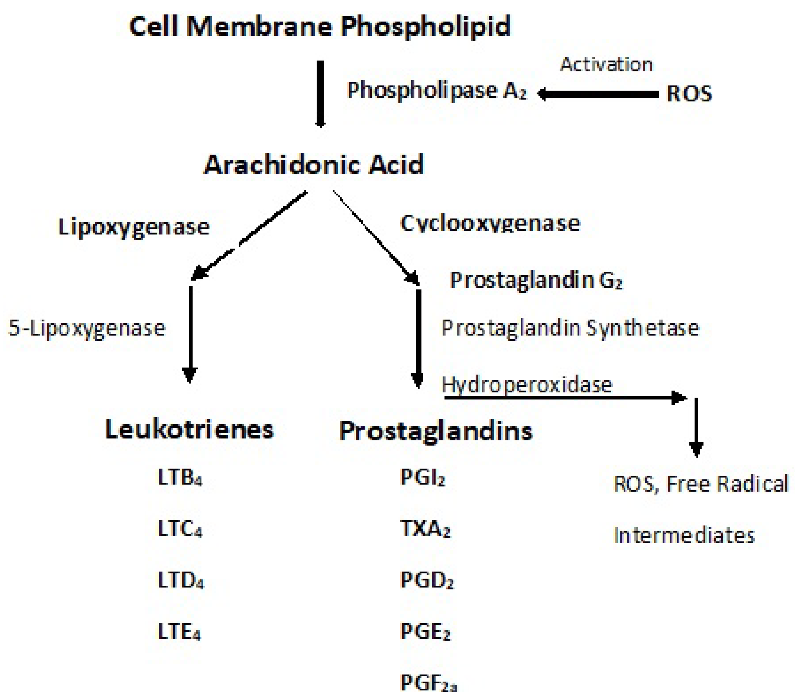 Antioxidants 11 02003 g010