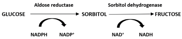 Antioxidants 11 02003 i001 Antioxidants 11 02003 i001