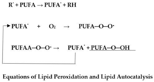 Antioxidants 11 02003 i003 Antioxidants 11 02003 i003