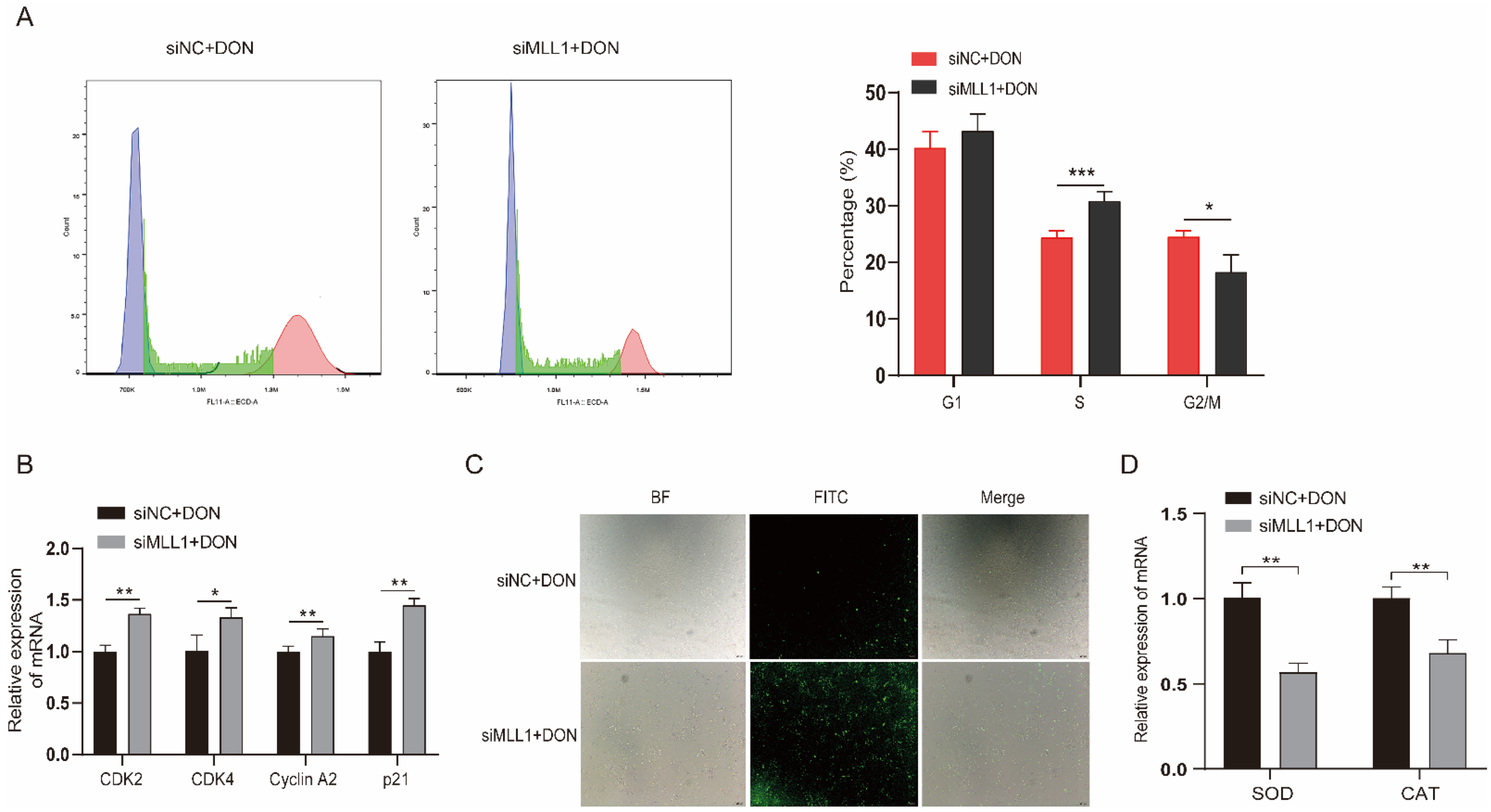 Antioxidants 11 02006 g003