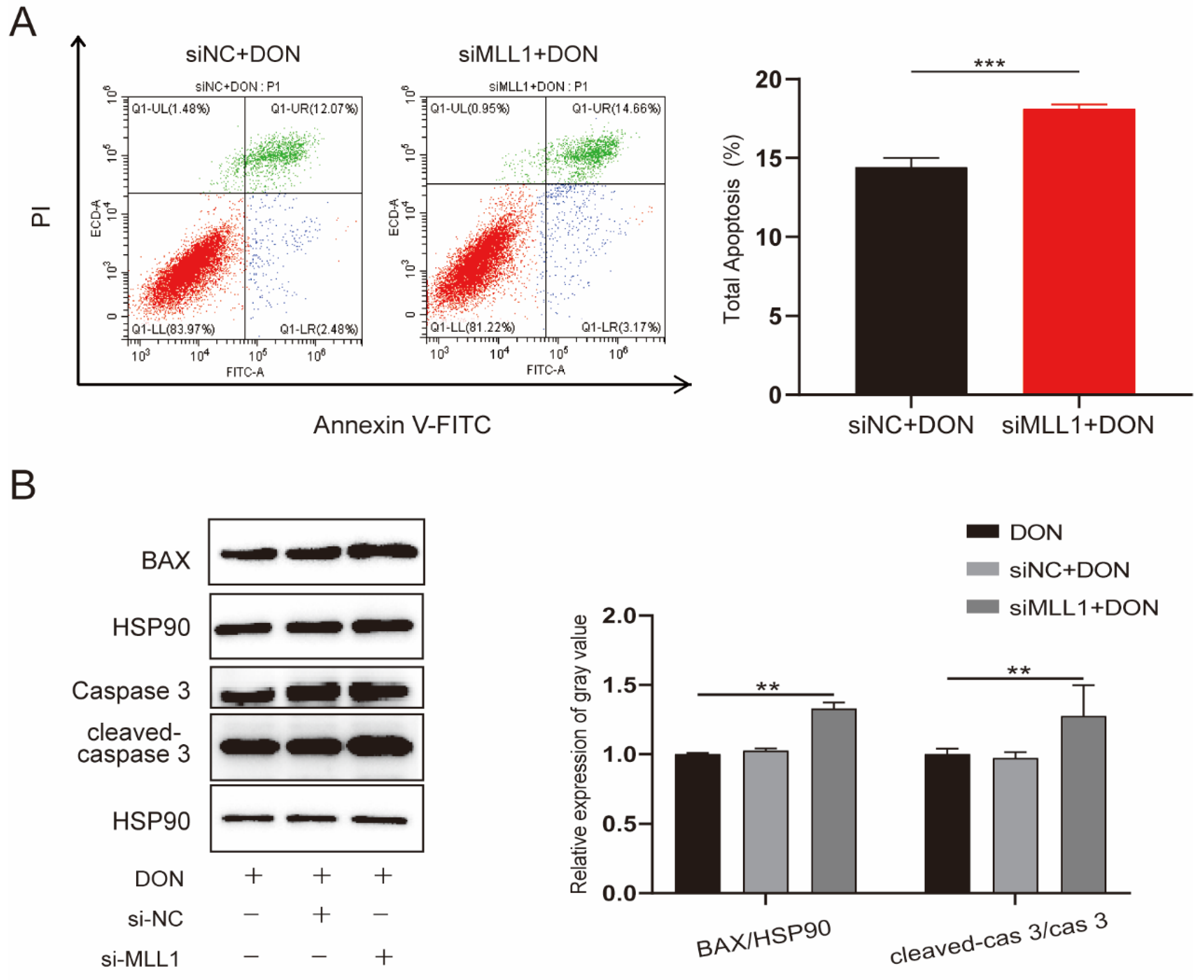 Antioxidants 11 02006 g004