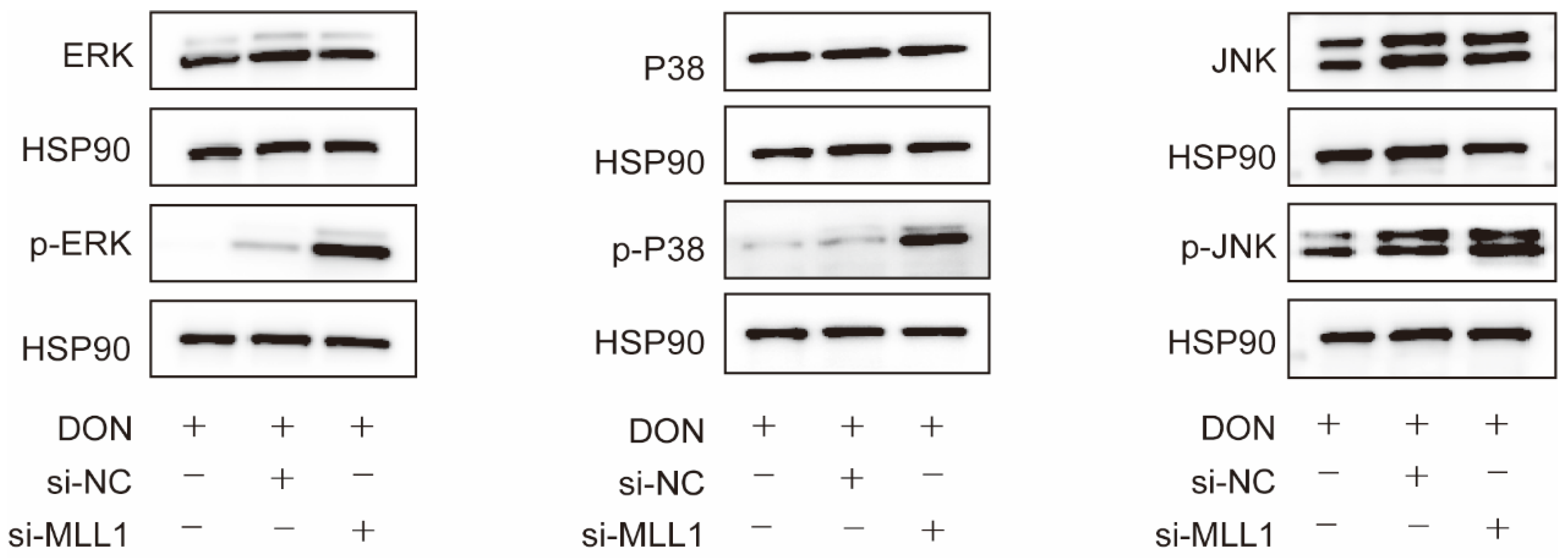 Antioxidants 11 02006 g006