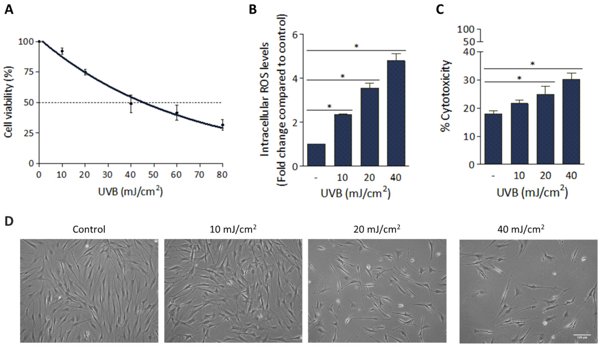 Antioxidants 11 02011 g001