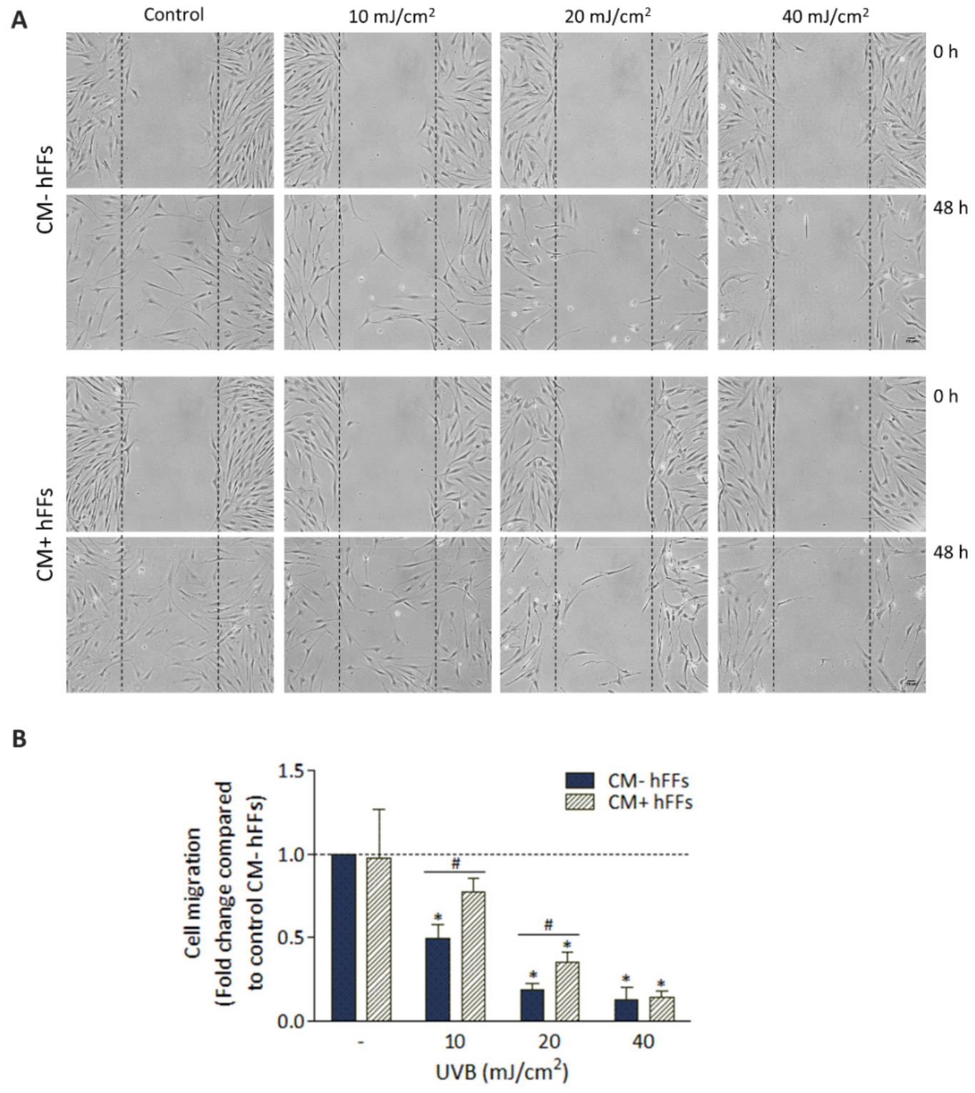Antioxidants 11 02011 g007