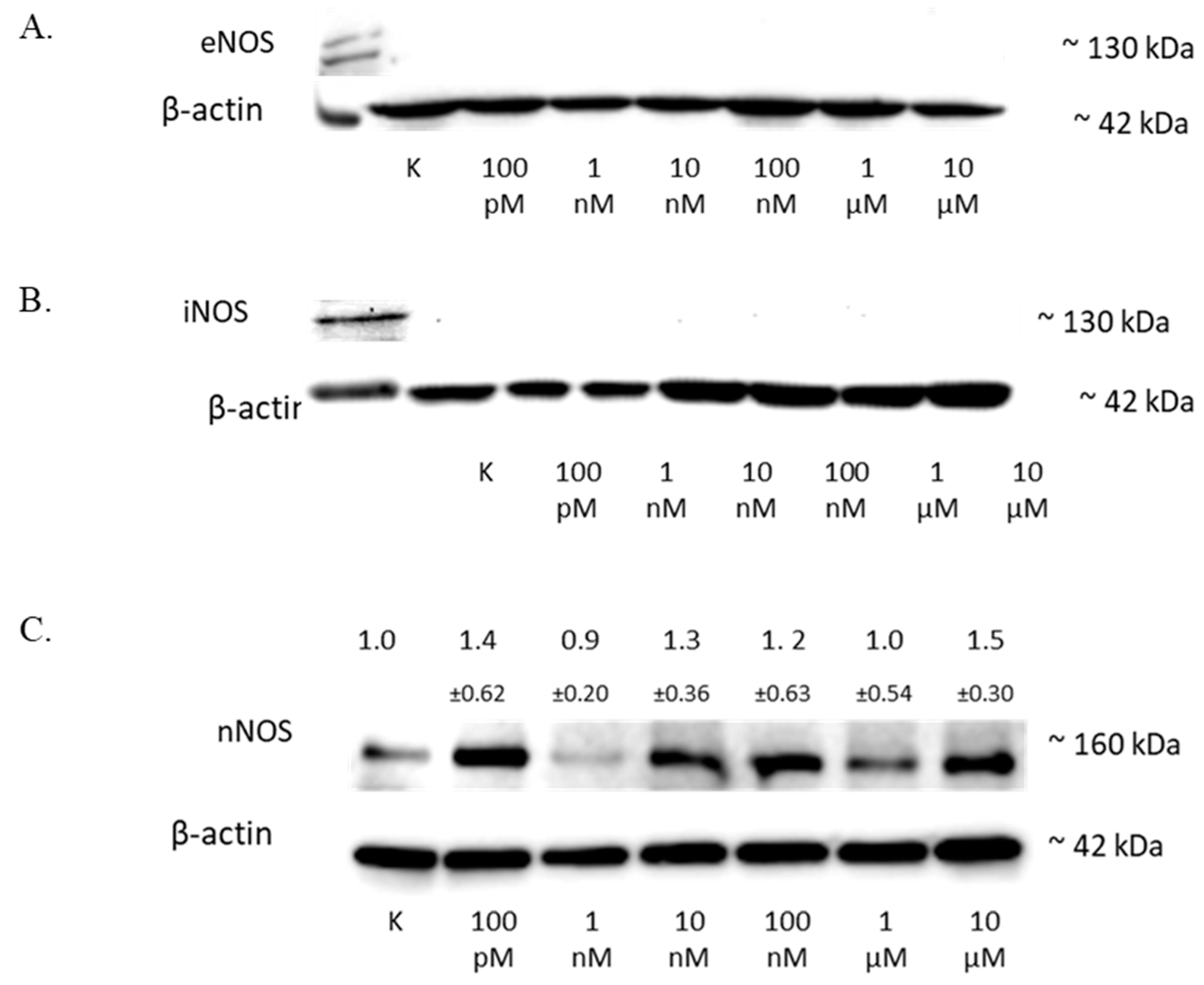 Antioxidants 11 02013 g005