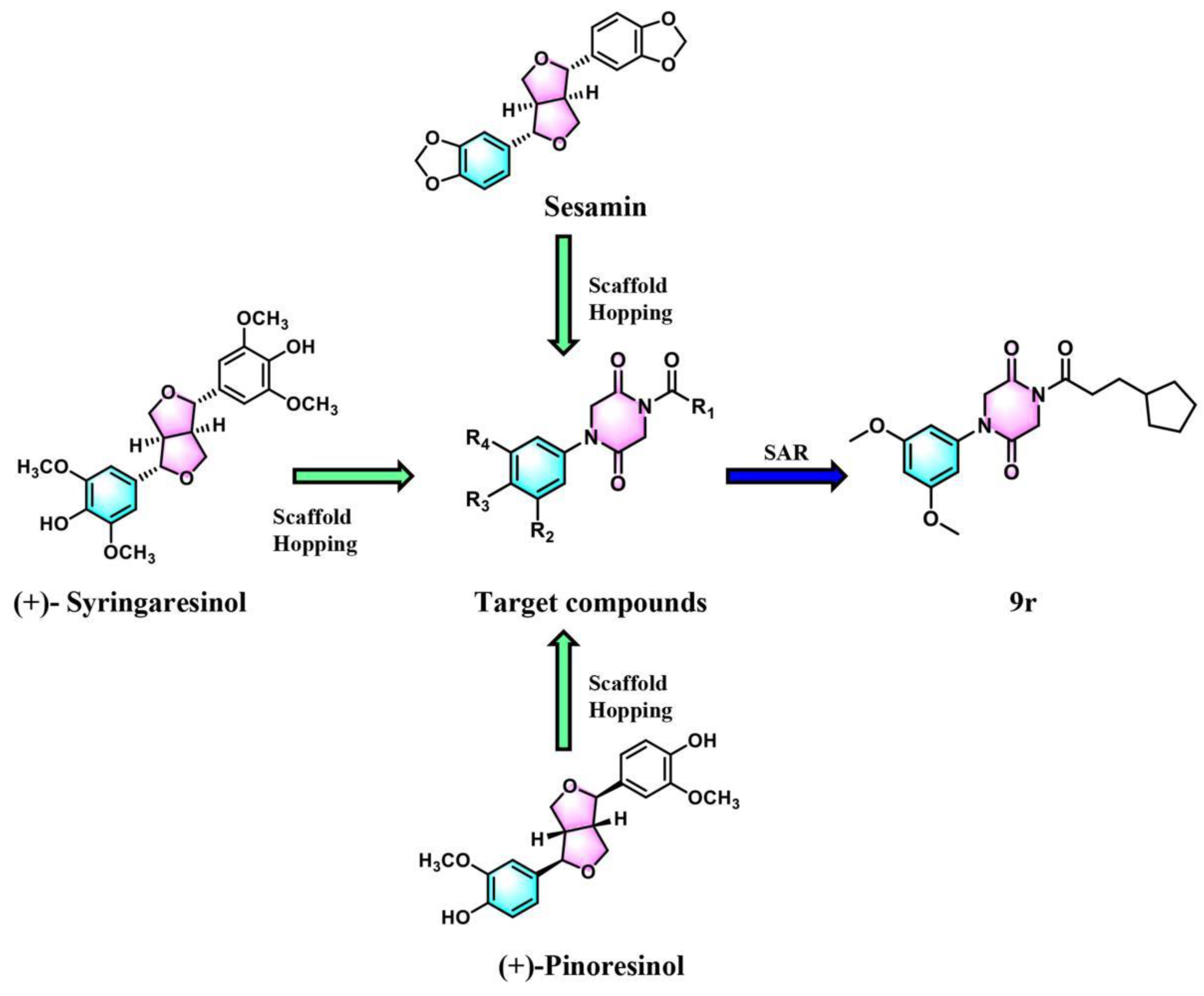 Antioxidants 11 02014 g001 Antioxidants 11 02014 g001