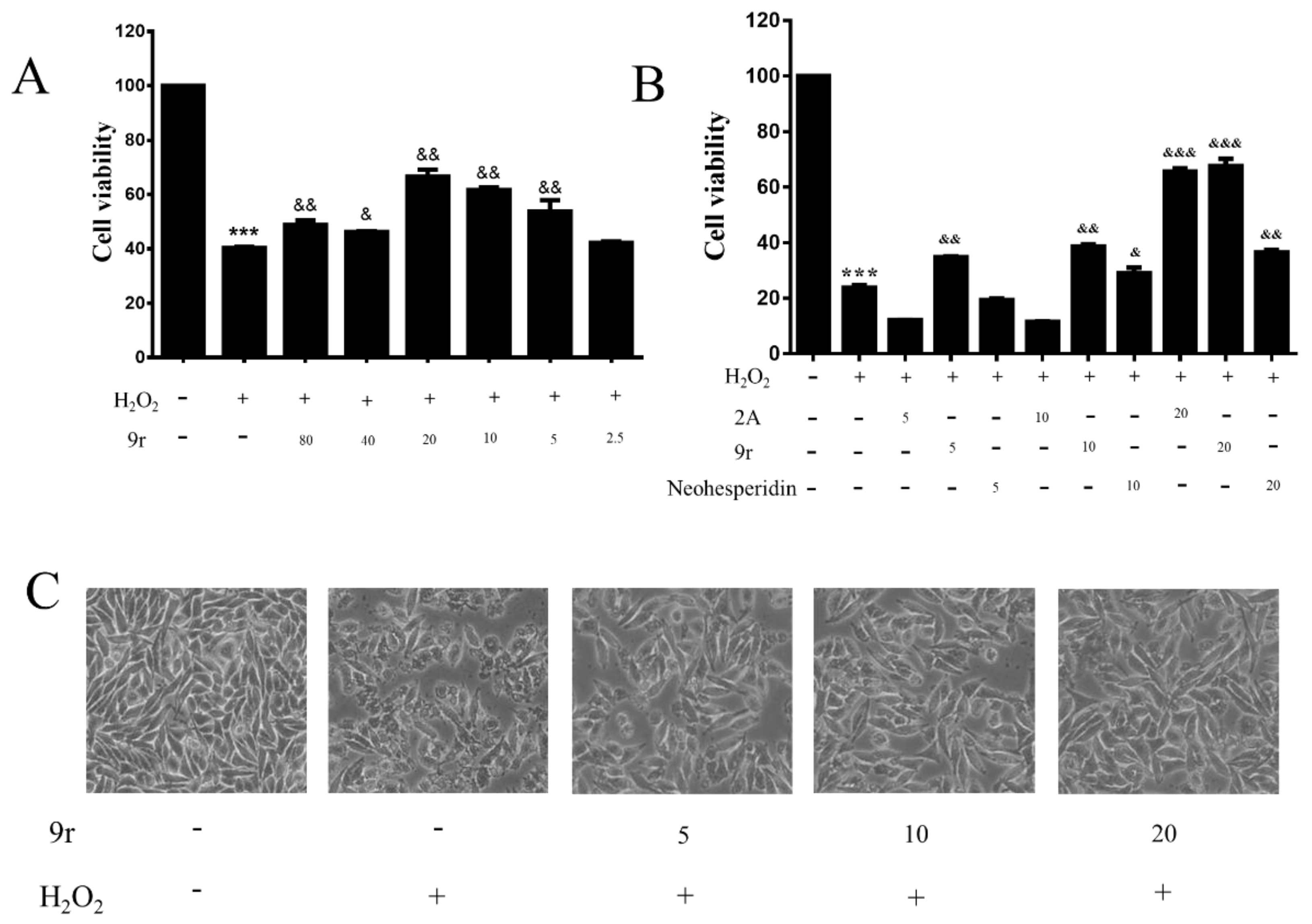 Antioxidants 11 02014 g002 Antioxidants 11 02014 g002