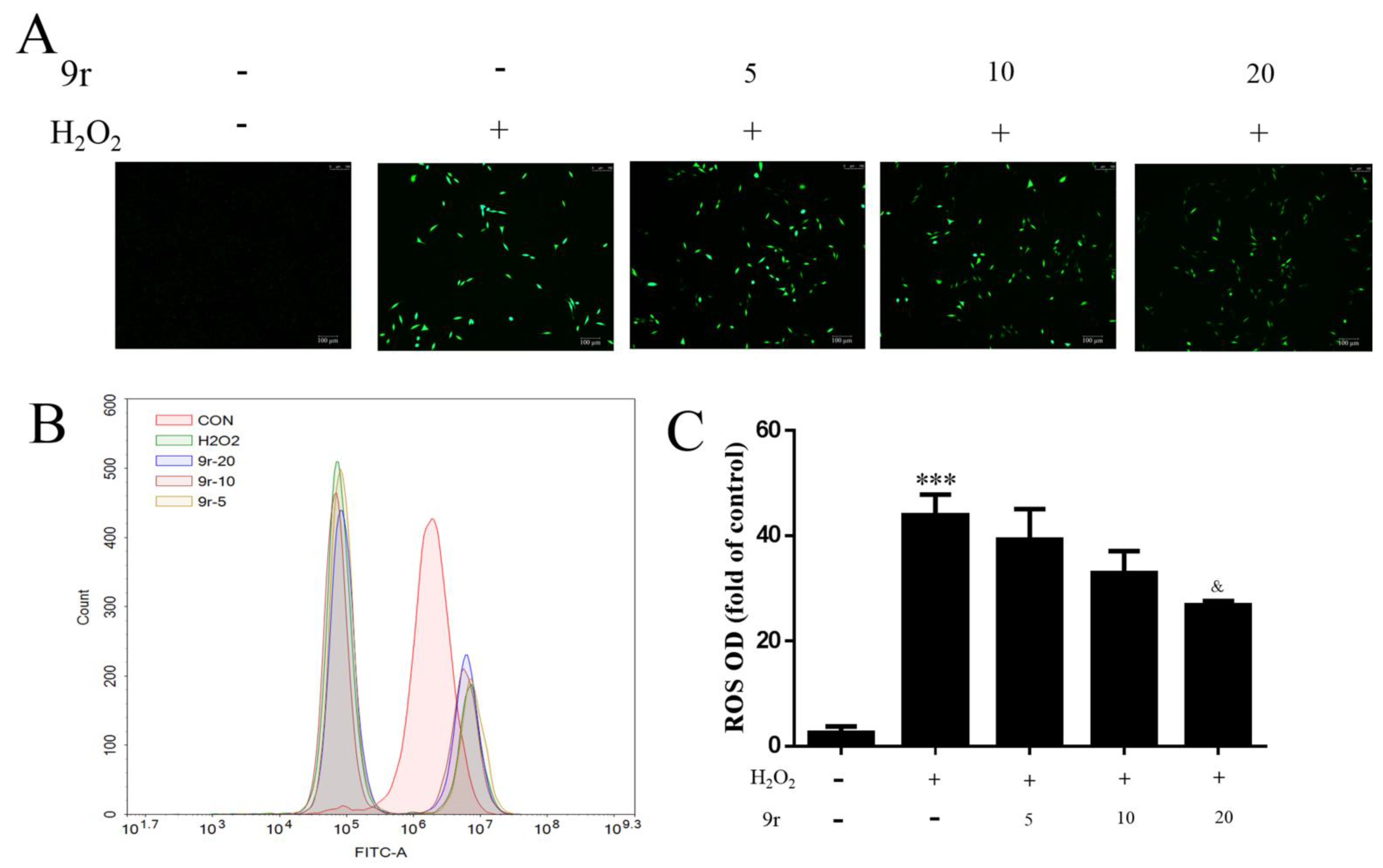 Antioxidants 11 02014 g006 Antioxidants 11 02014 g006