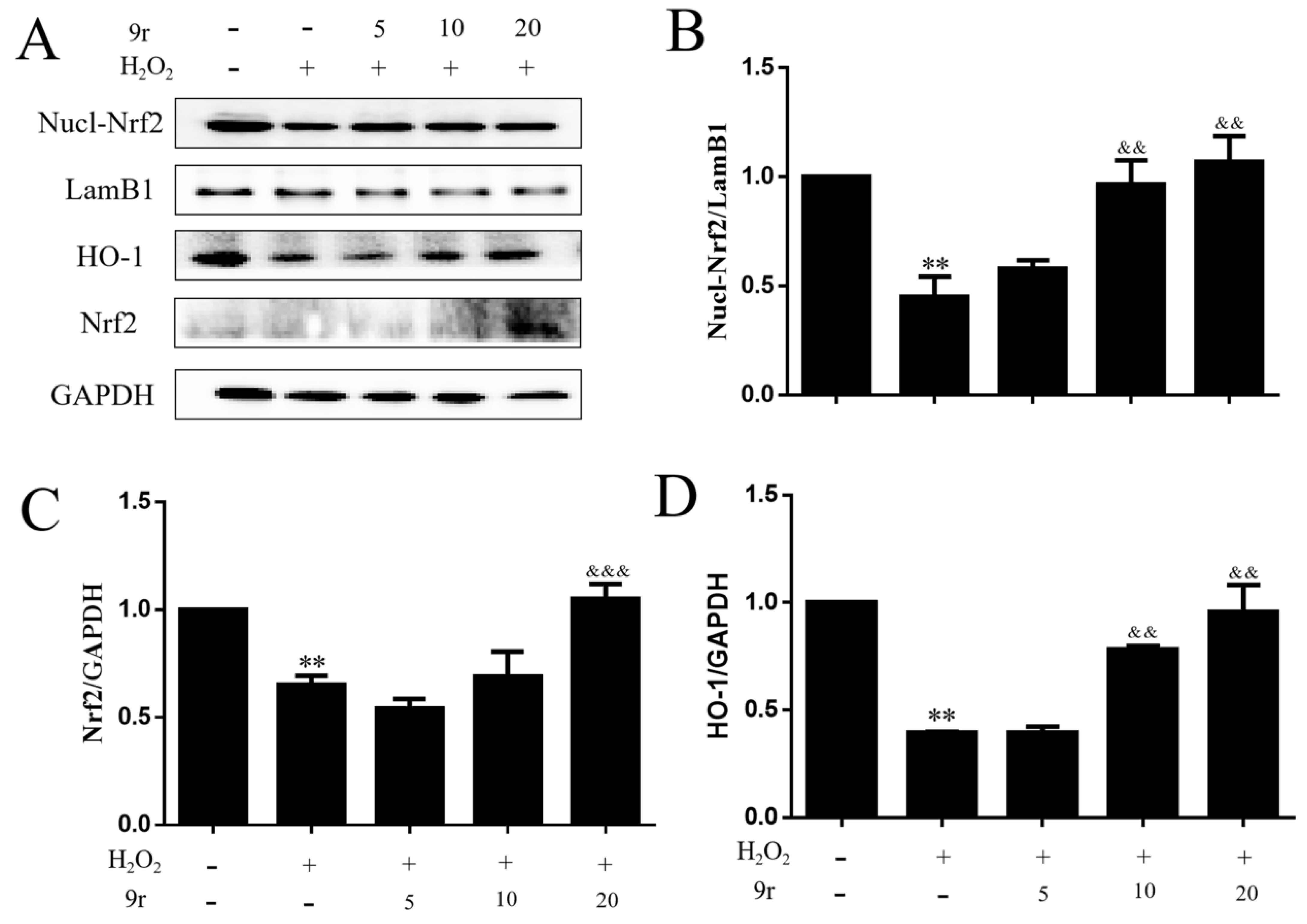 Antioxidants 11 02014 g007a Antioxidants 11 02014 g007a