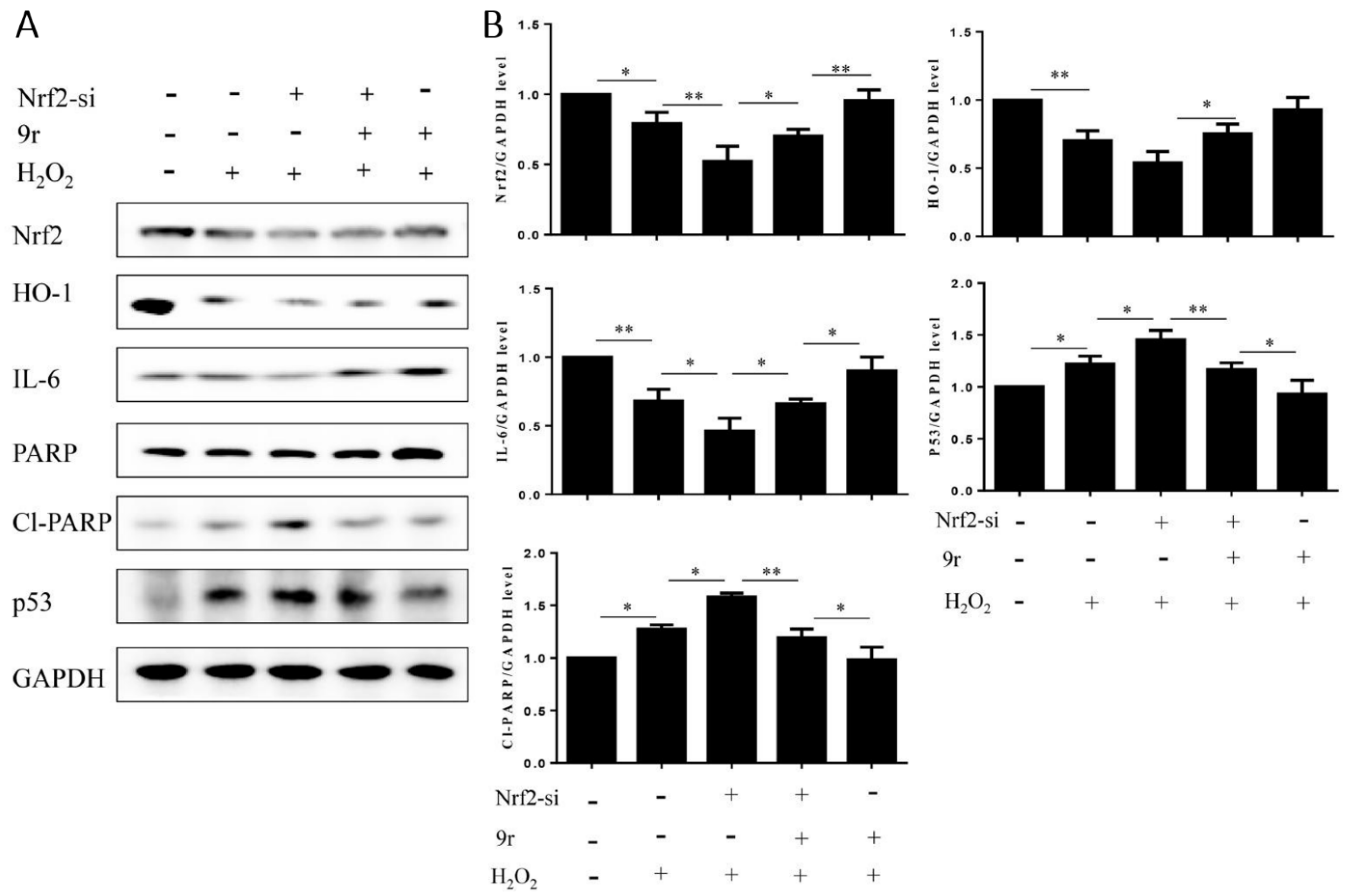 Antioxidants 11 02014 g008 Antioxidants 11 02014 g008