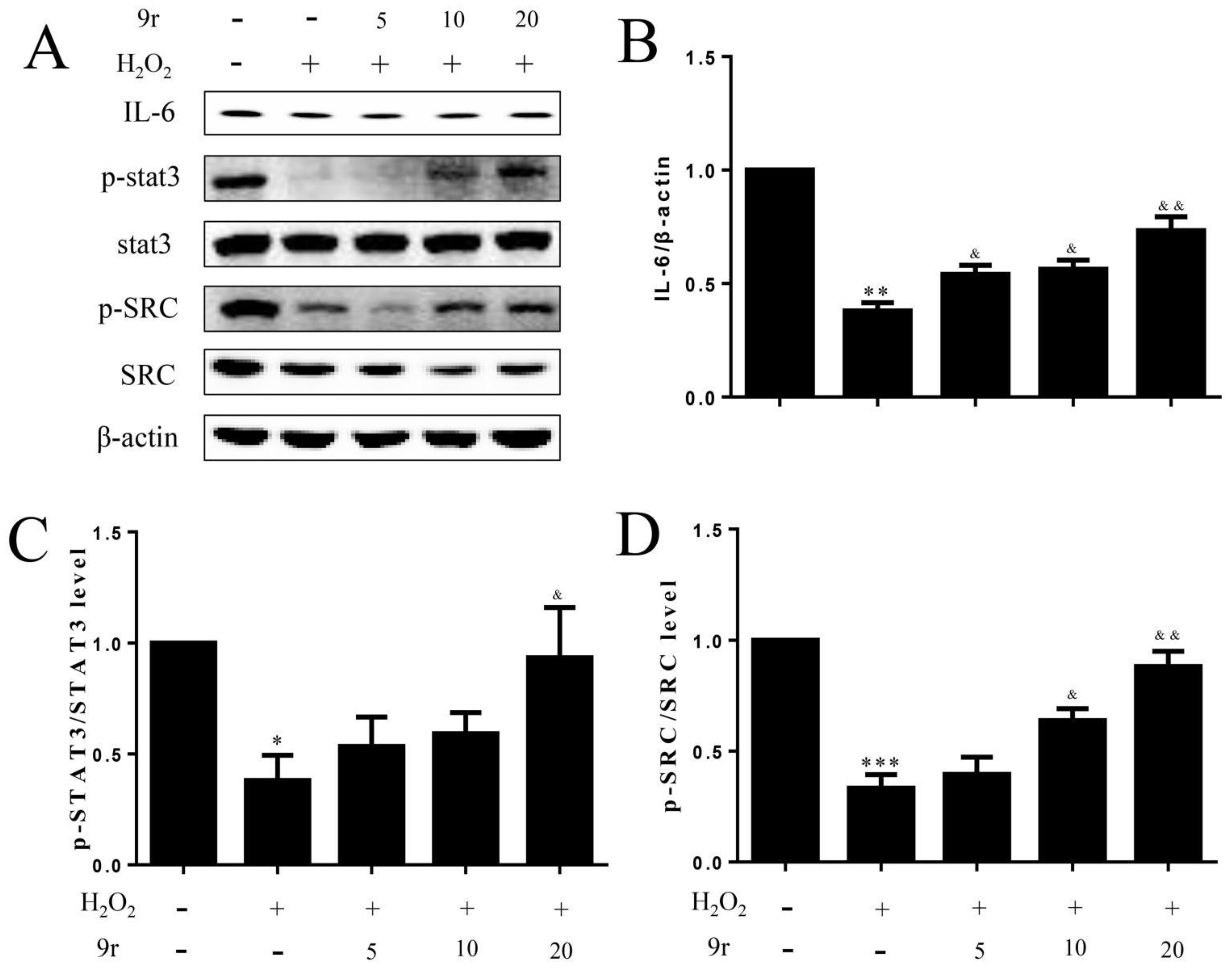 Antioxidants 11 02014 g009 Antioxidants 11 02014 g009