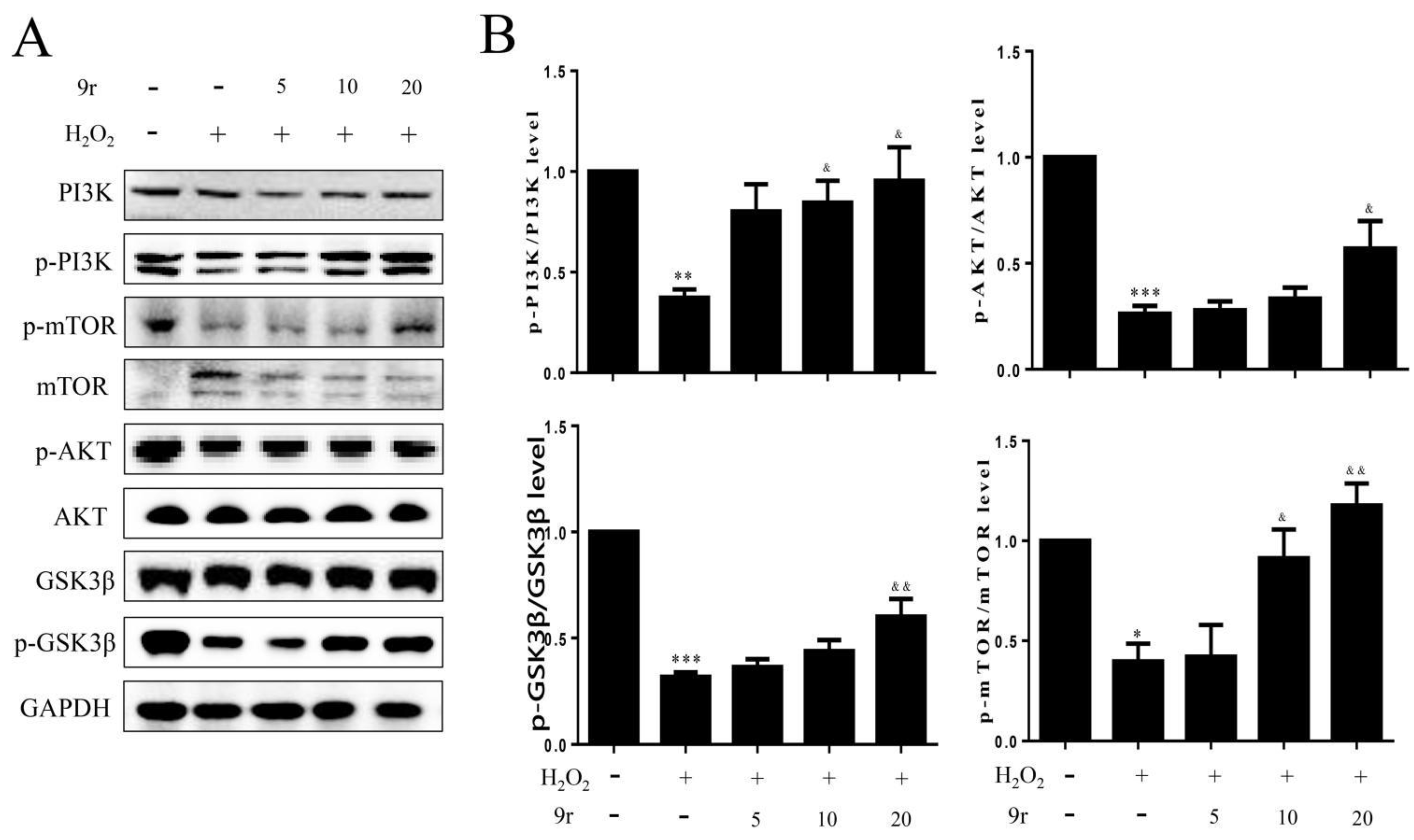 Antioxidants 11 02014 g010 Antioxidants 11 02014 g010