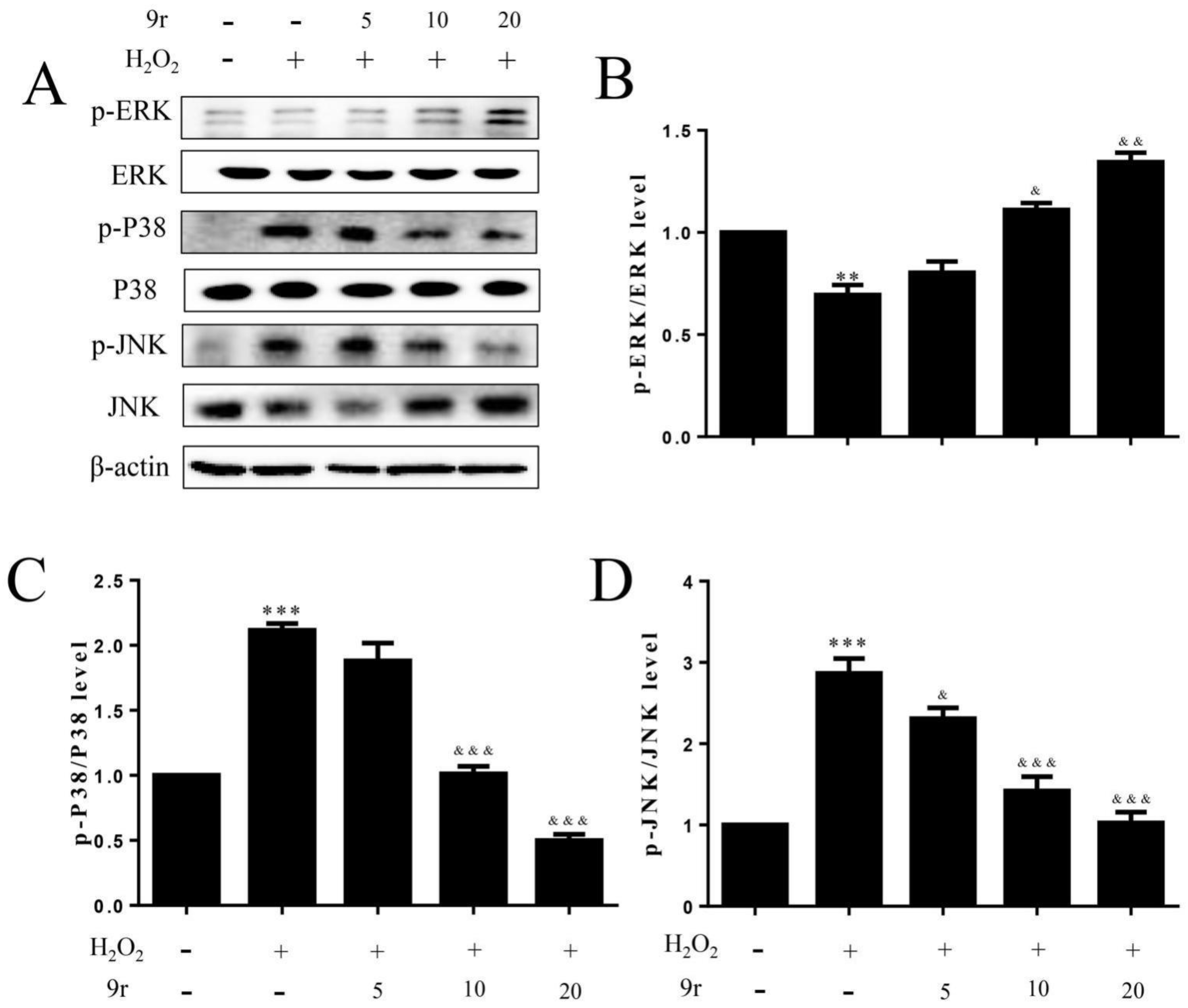 Antioxidants 11 02014 g011 Antioxidants 11 02014 g011