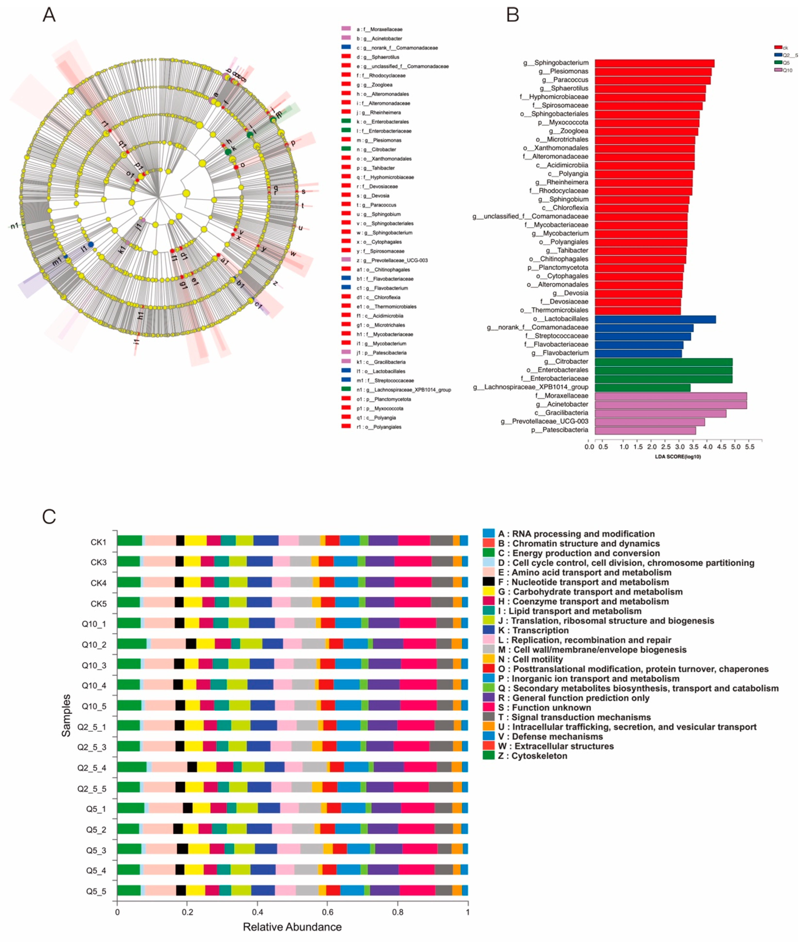 Antioxidants 11 02015 g006