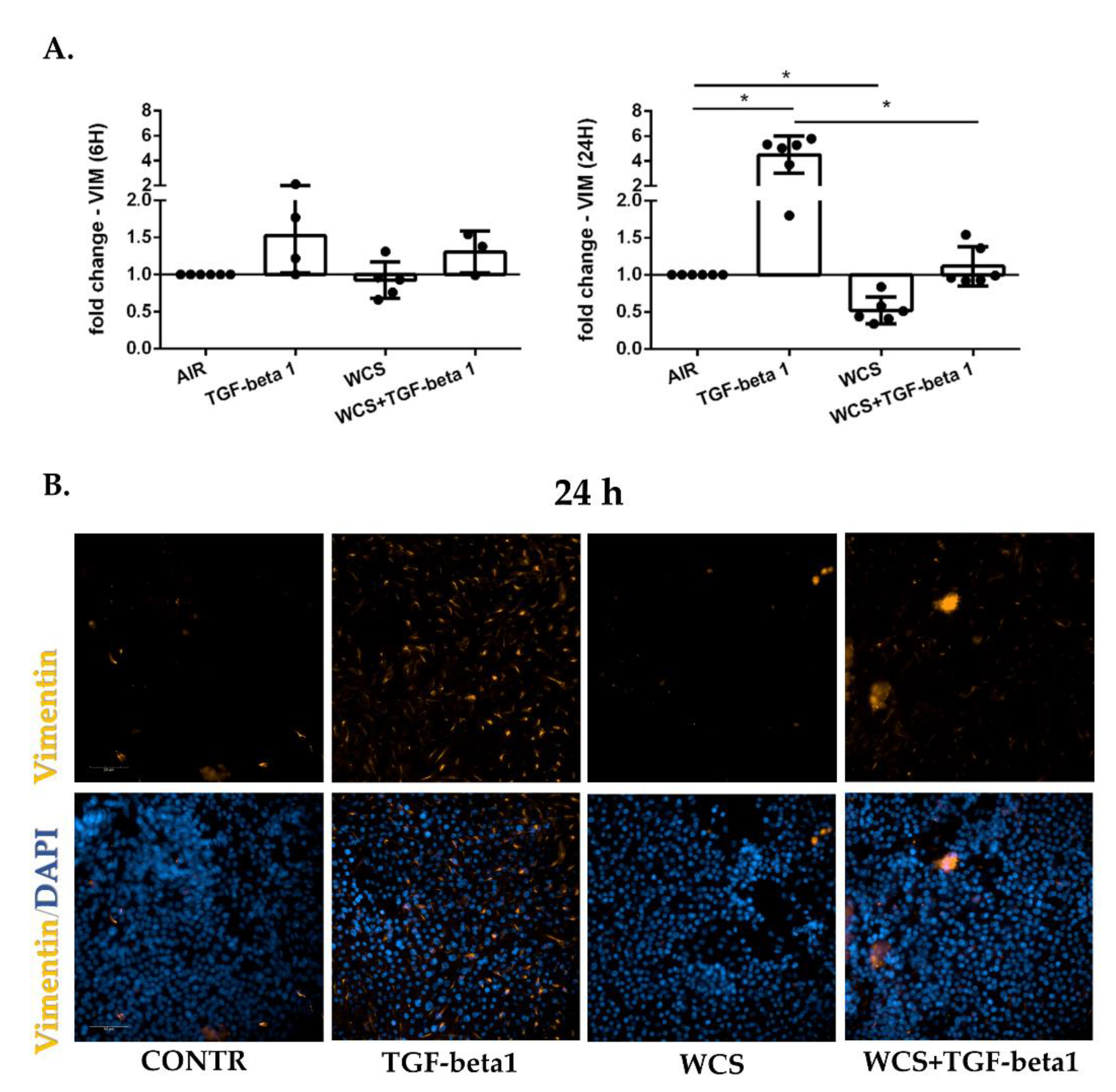 Antioxidants 11 02018 g005