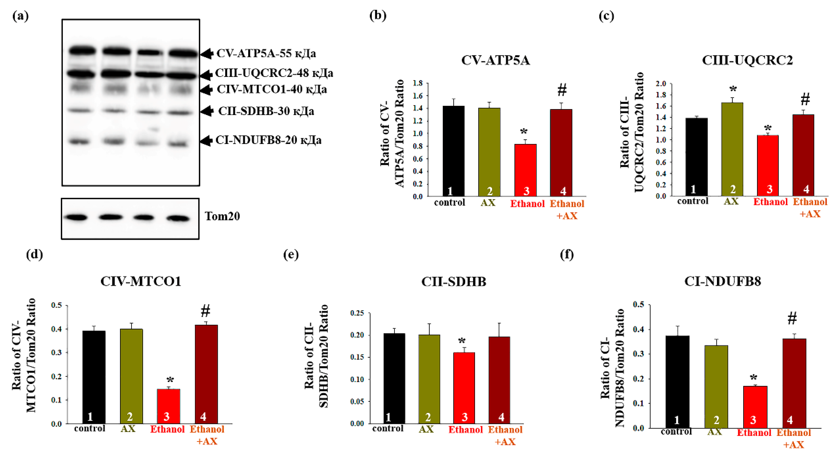Antioxidants 11 02019 g004