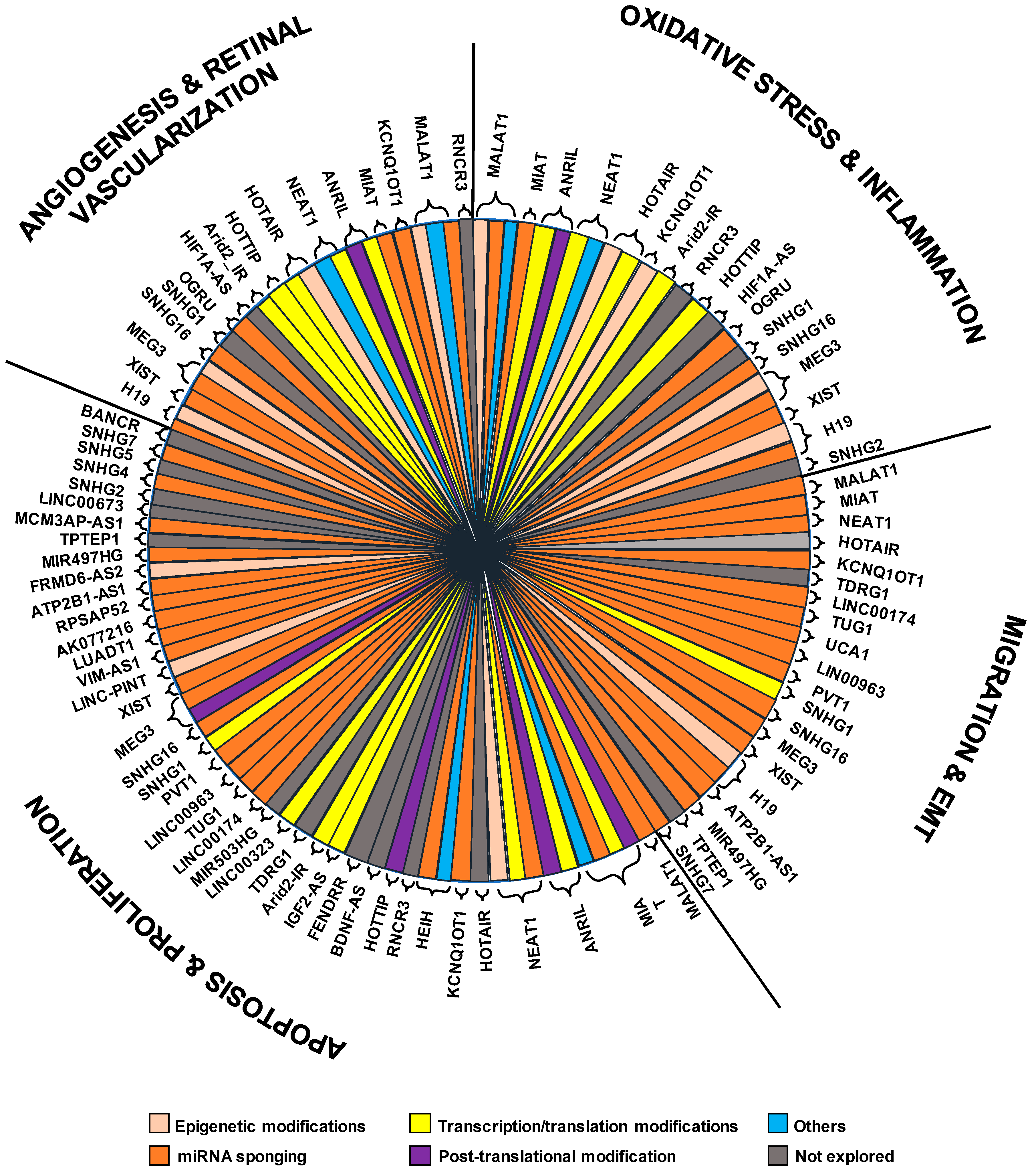 Antioxidants 11 02021 g001