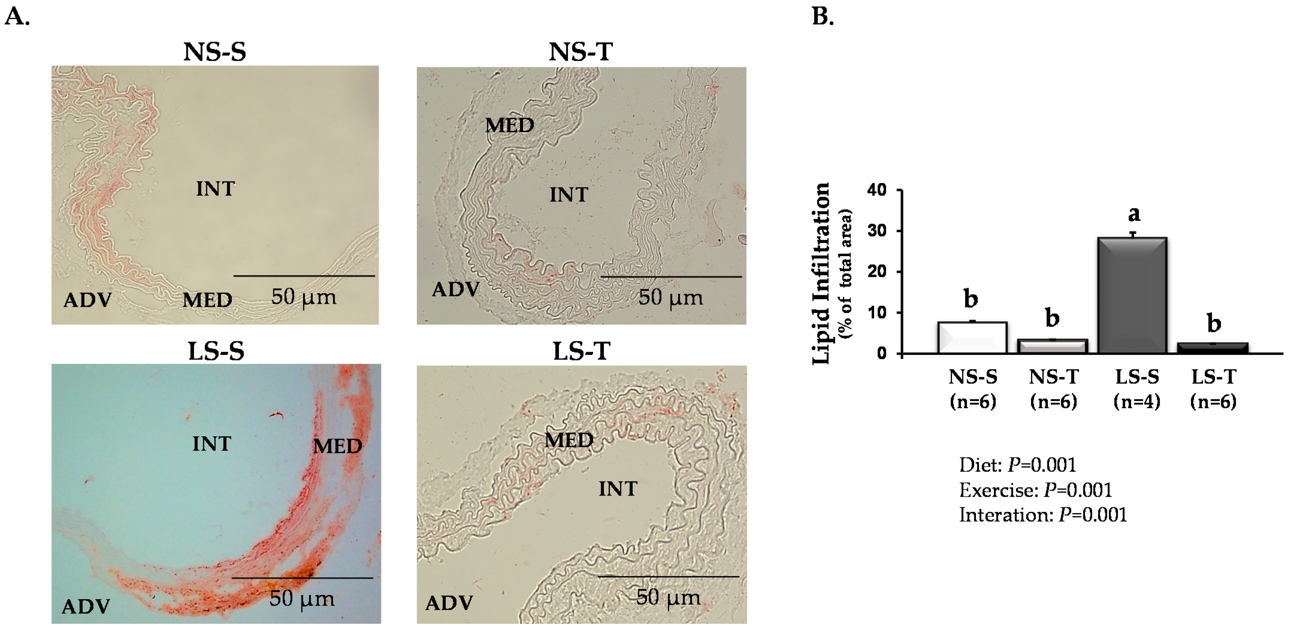 Antioxidants 11 02023 g002