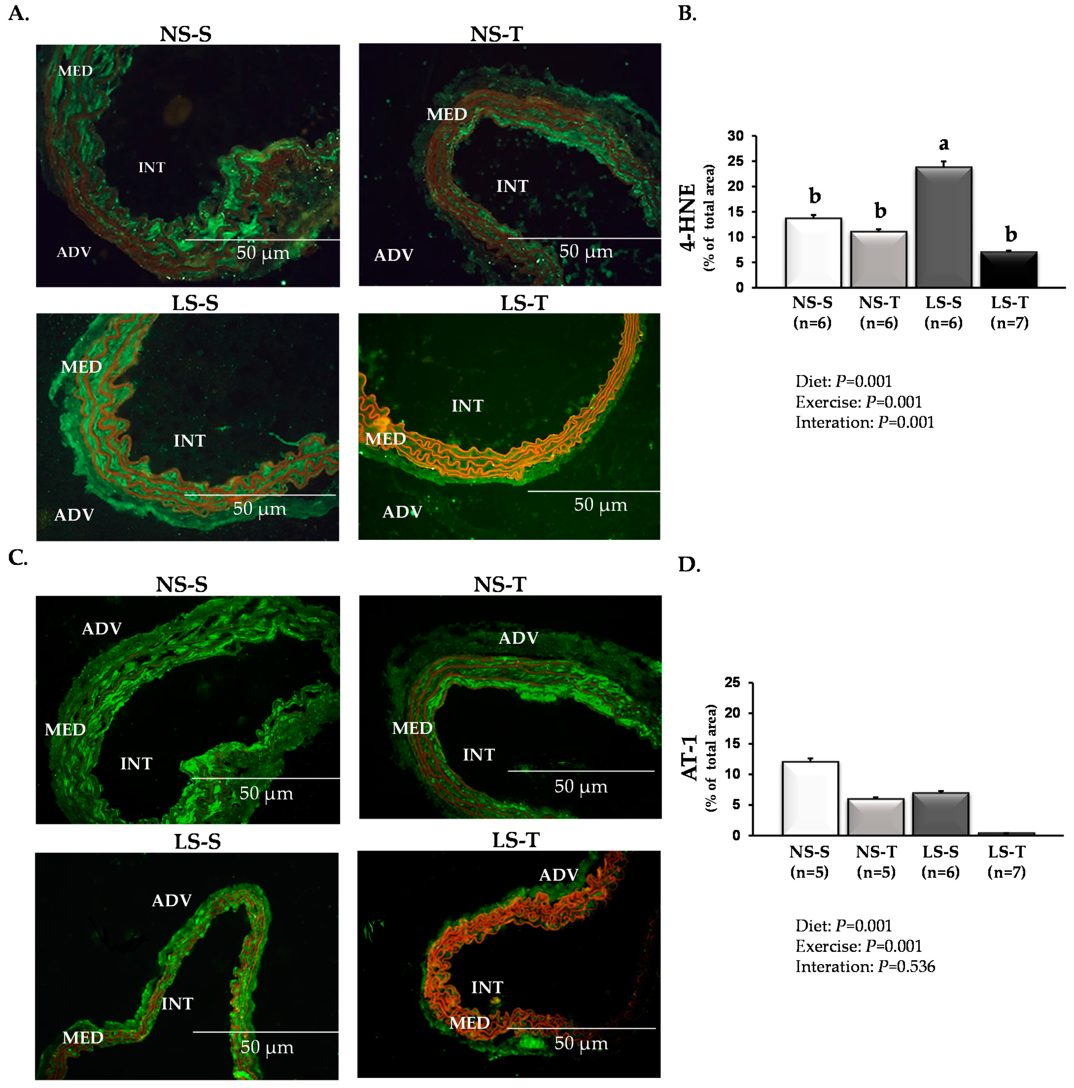 Antioxidants 11 02023 g004