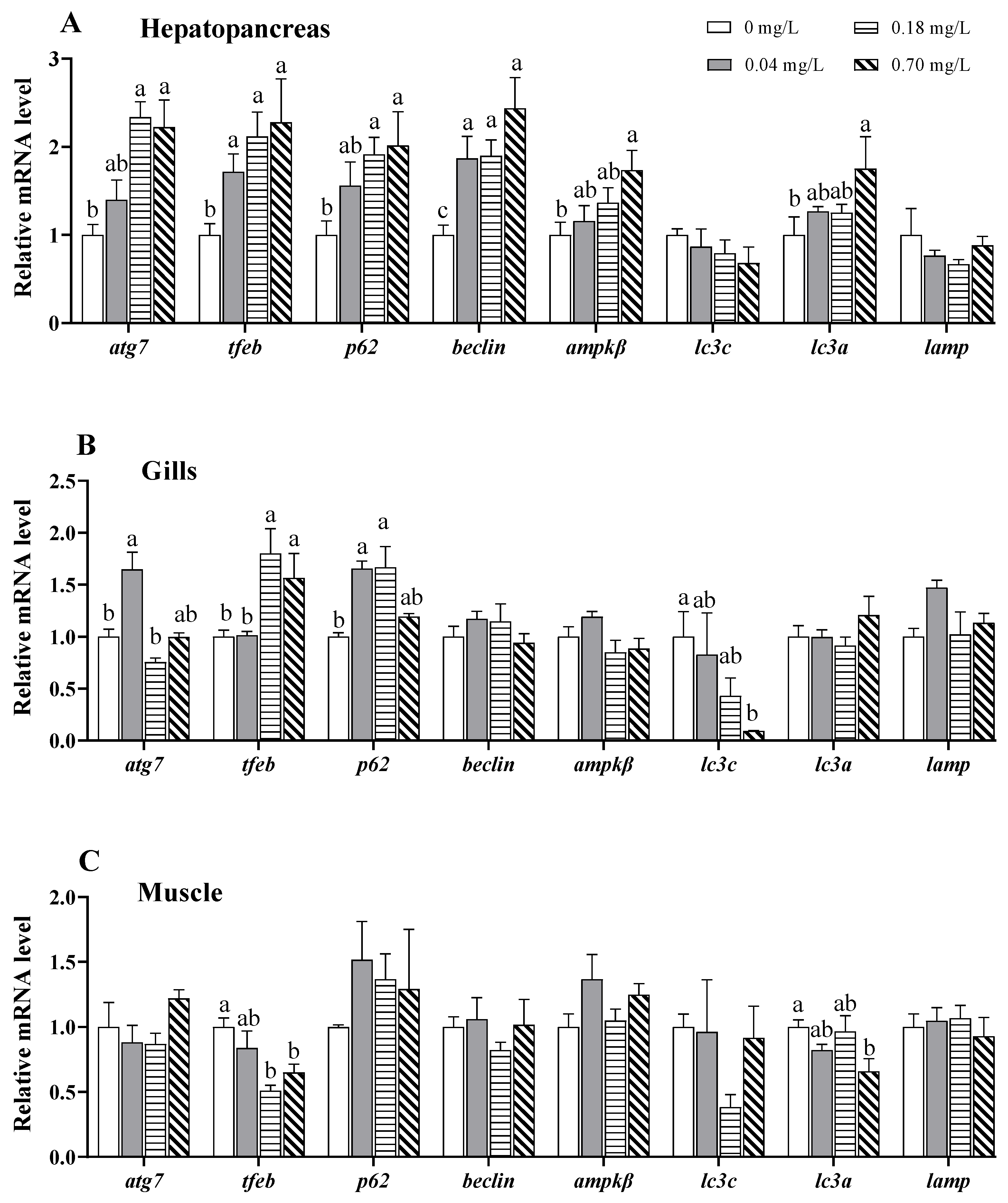 Antioxidants 11 02029 g006