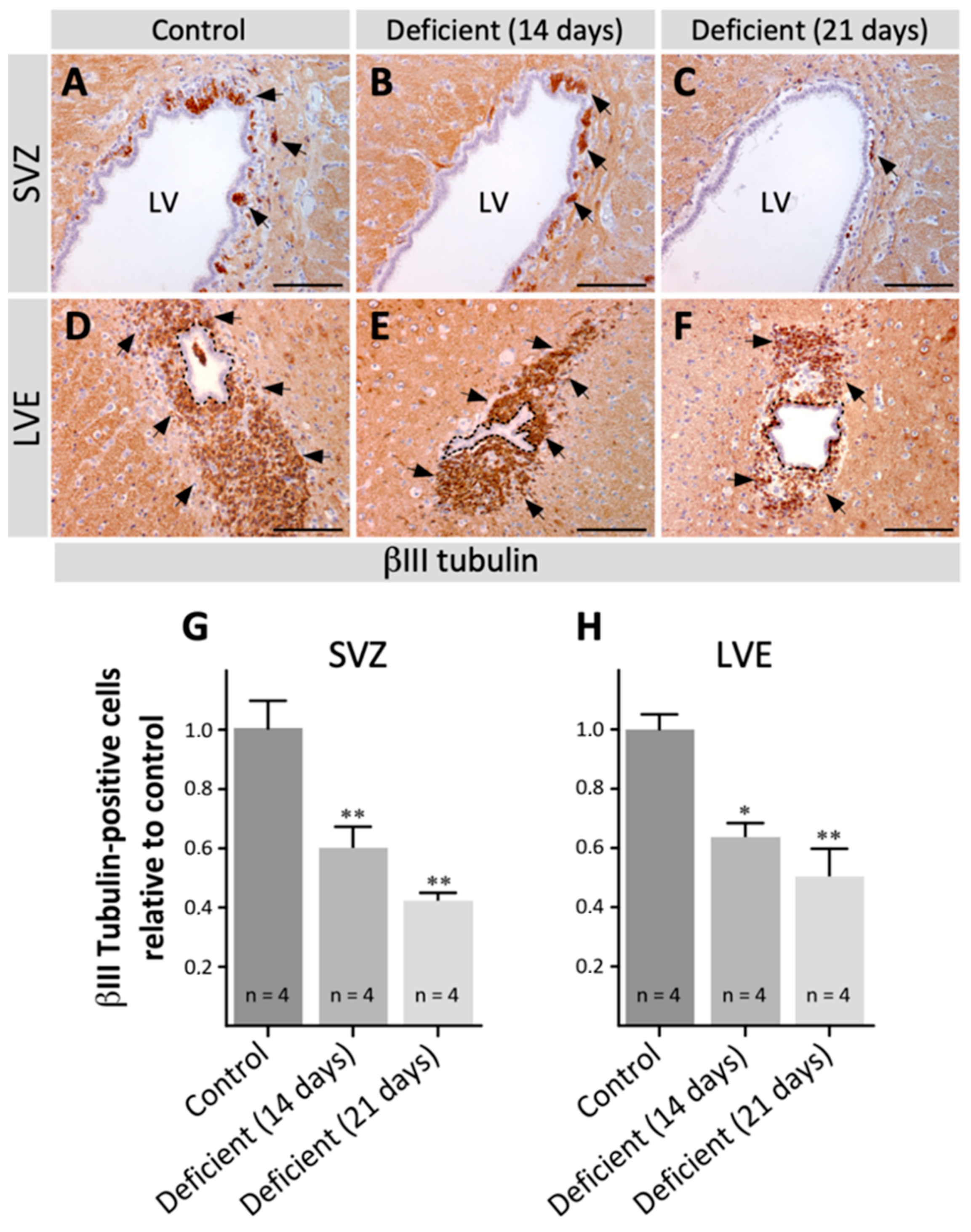 Antioxidants 11 02030 g001