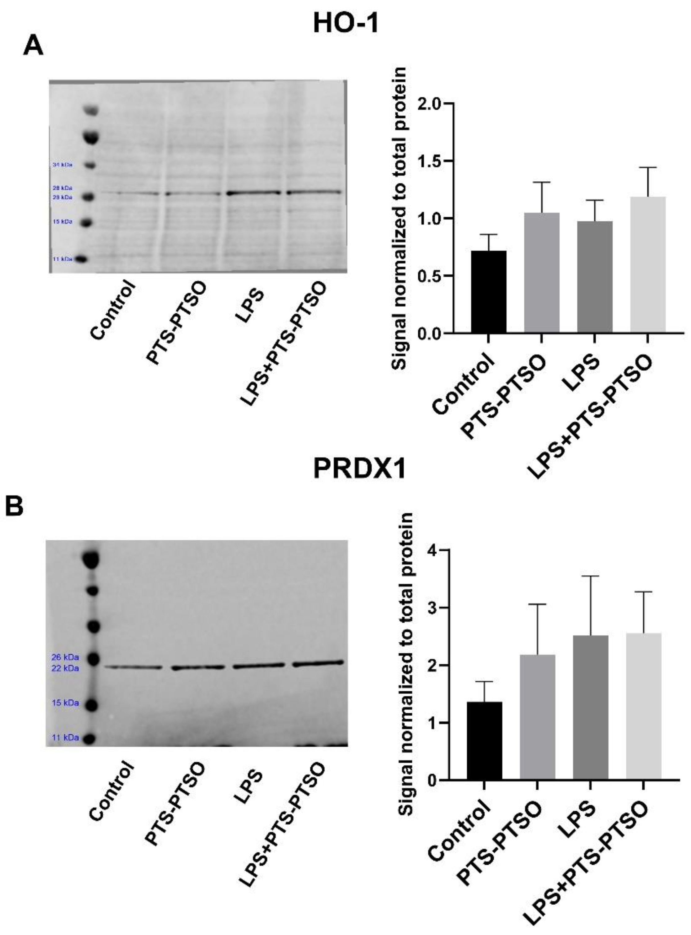 Antioxidants 11 02033 g003