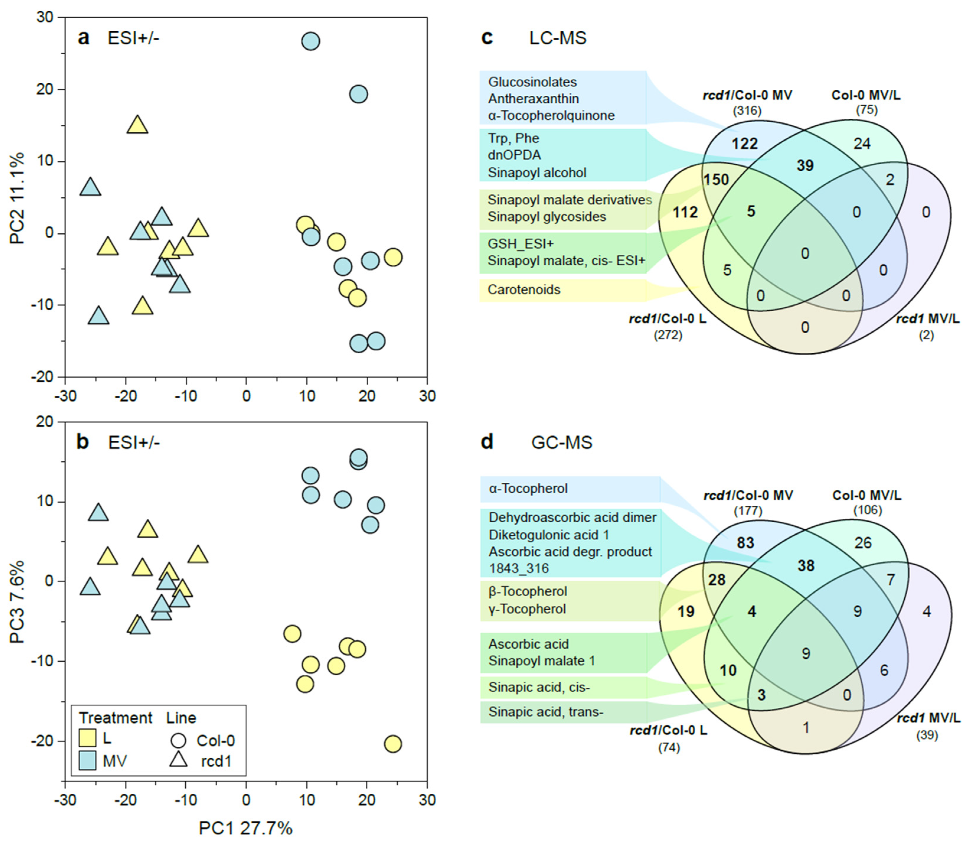 Antioxidants 11 02034 g001