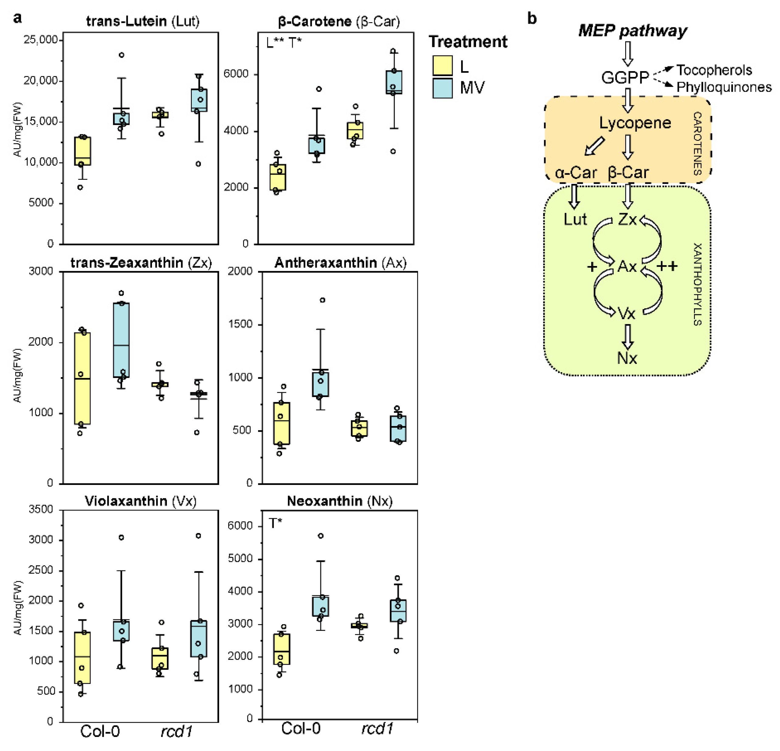 Antioxidants 11 02034 g003