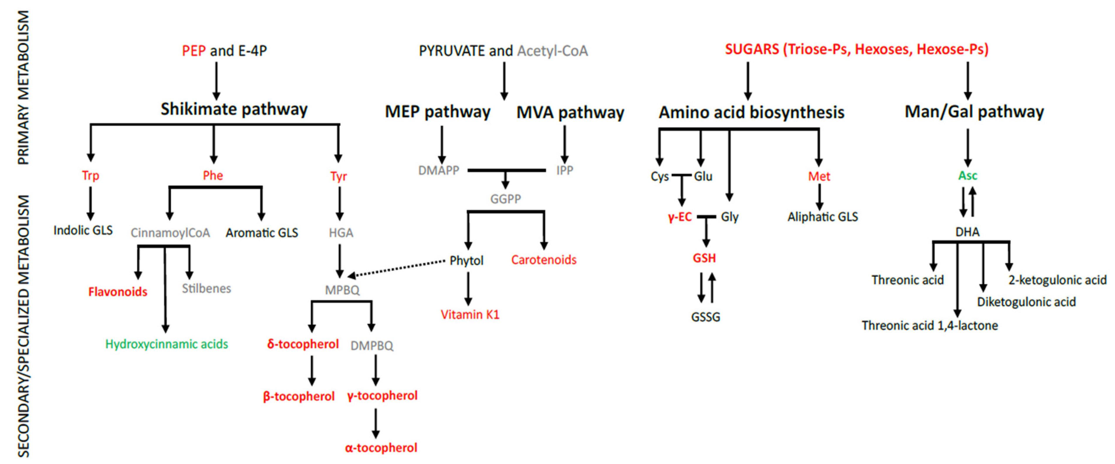 Antioxidants 11 02034 g005
