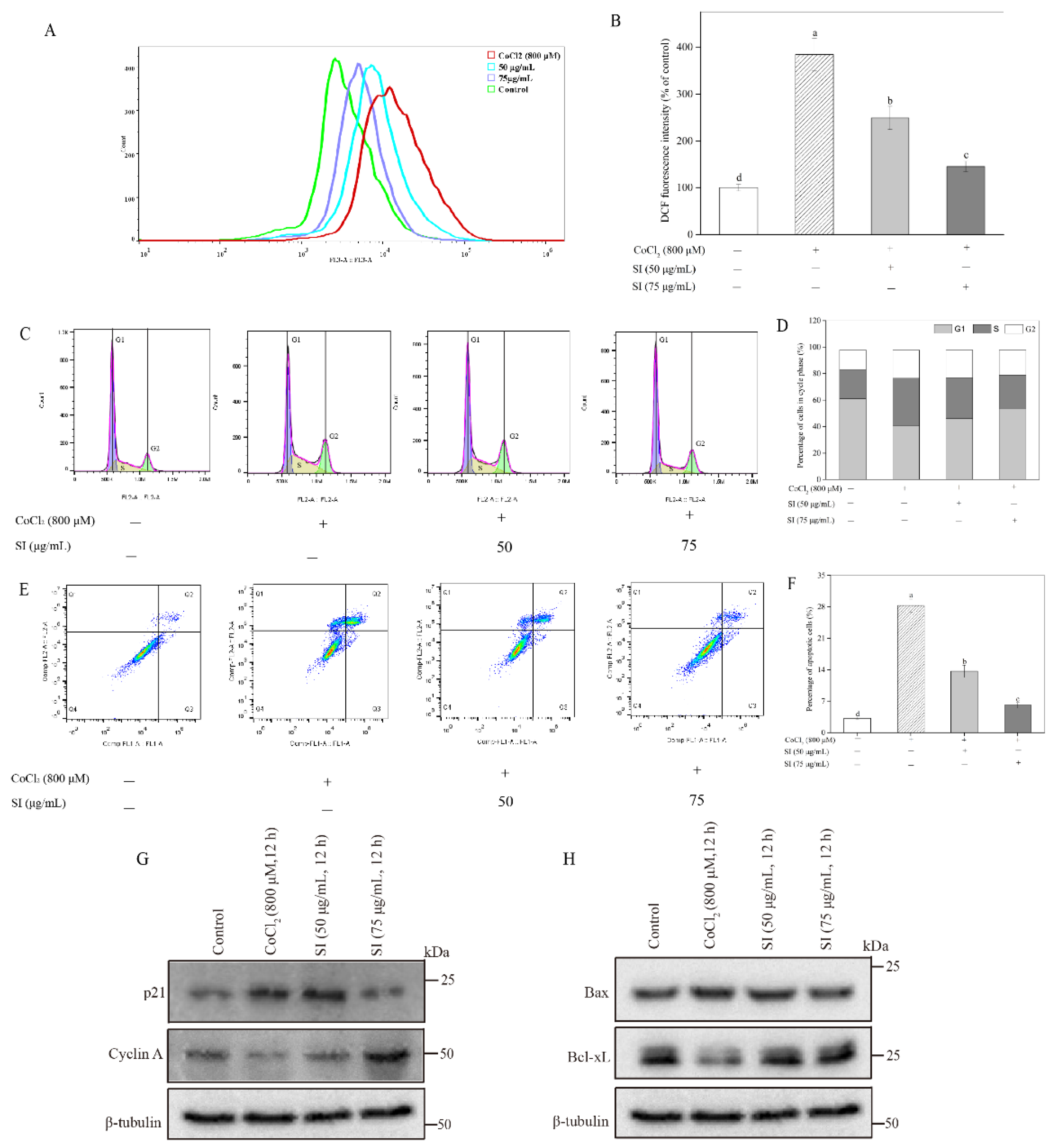 Antioxidants 11 02037 g003 Antioxidants 11 02037 g003