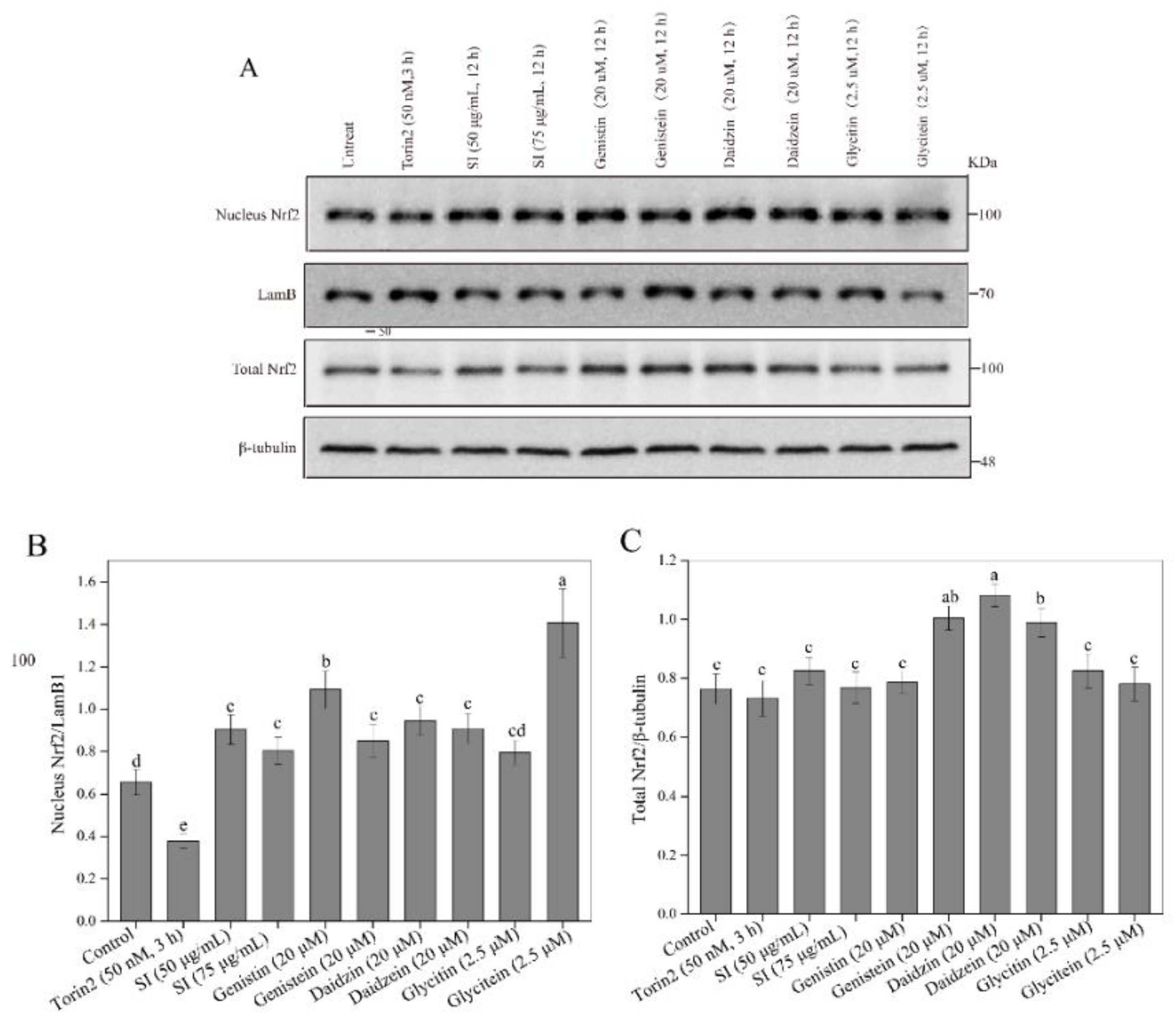 Antioxidants 11 02037 g004 Antioxidants 11 02037 g004