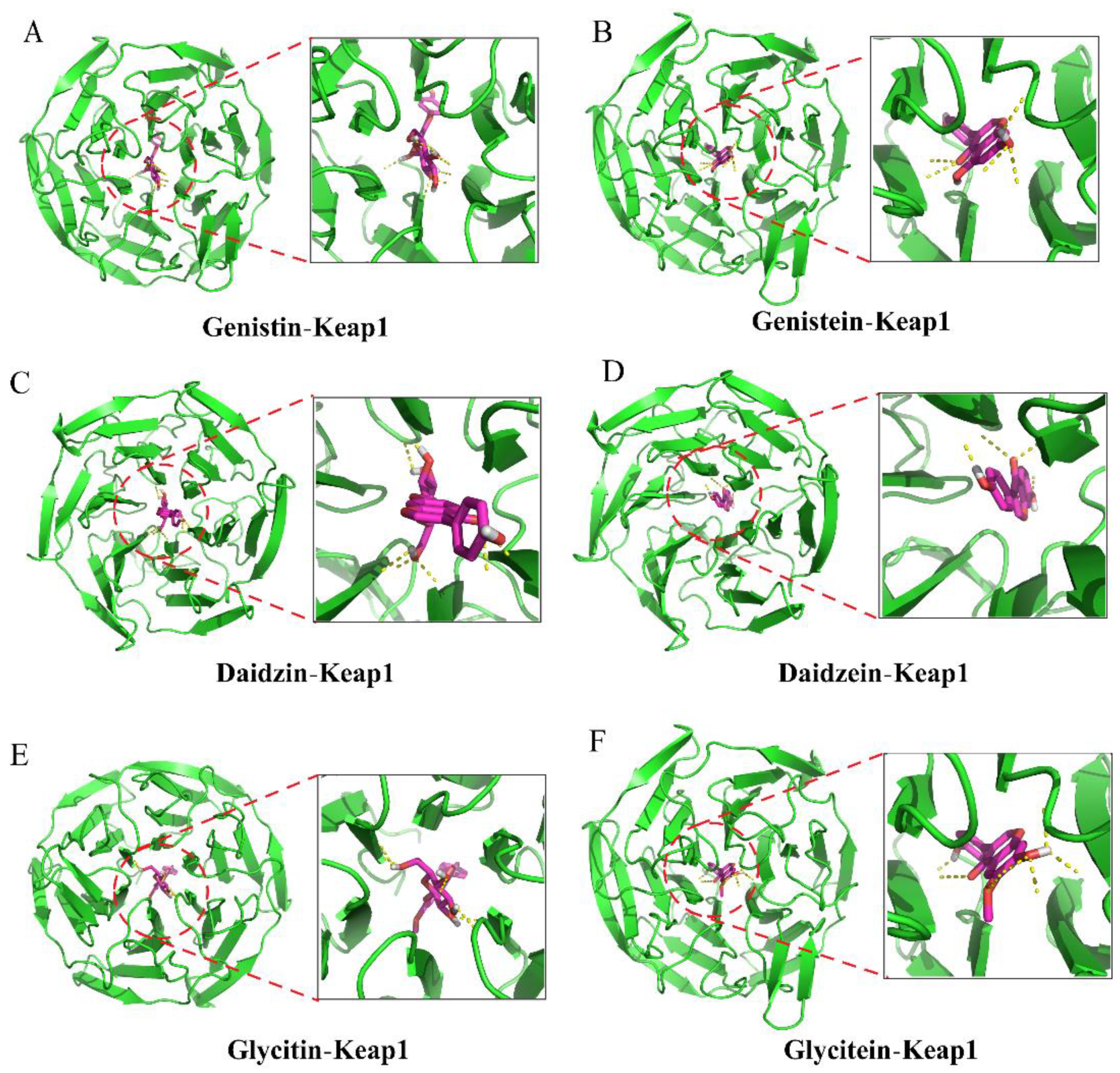 Antioxidants 11 02037 g005 Antioxidants 11 02037 g005