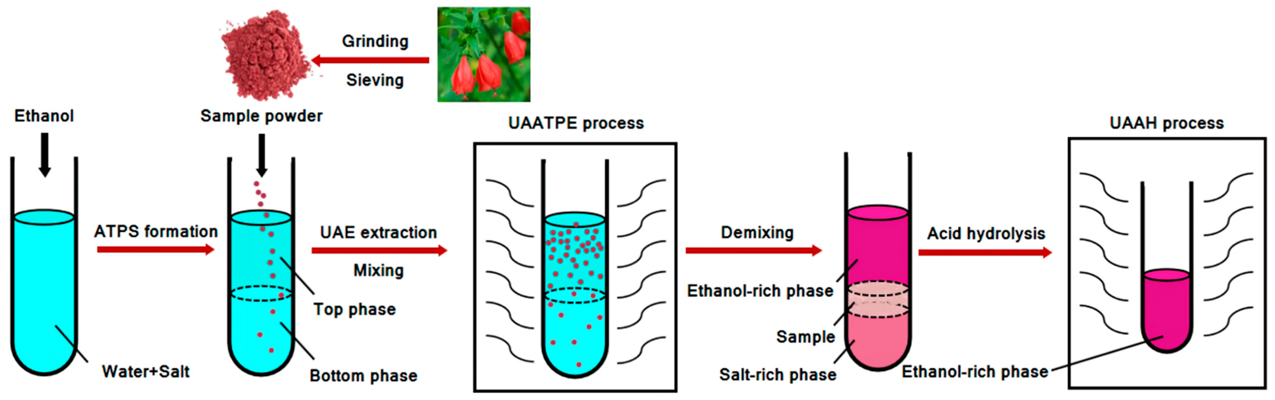 Antioxidants 11 02039 g001