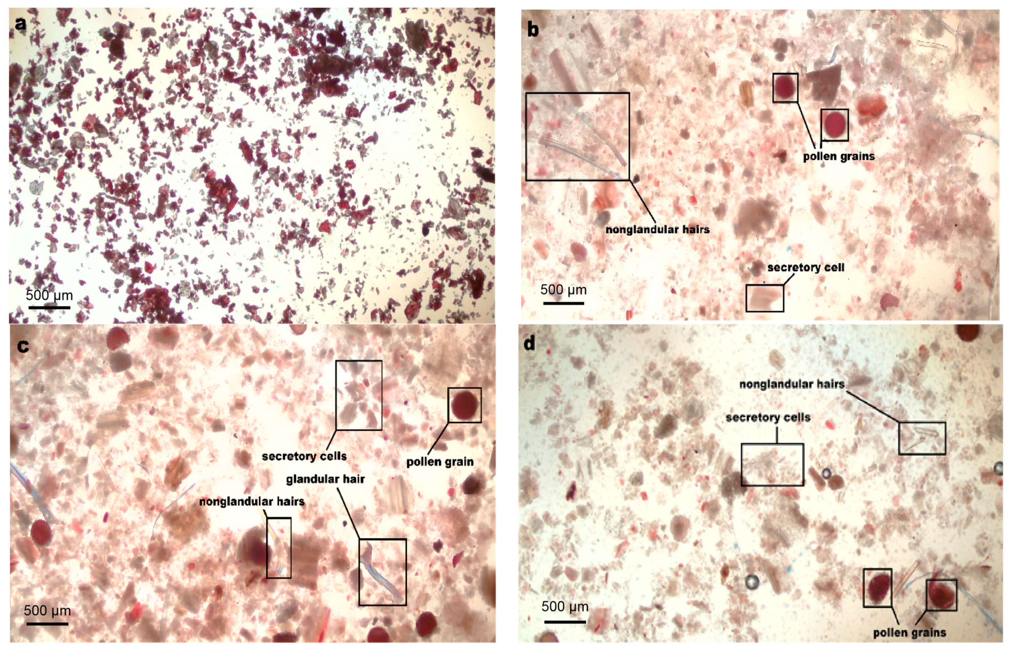 Antioxidants 11 02039 g005