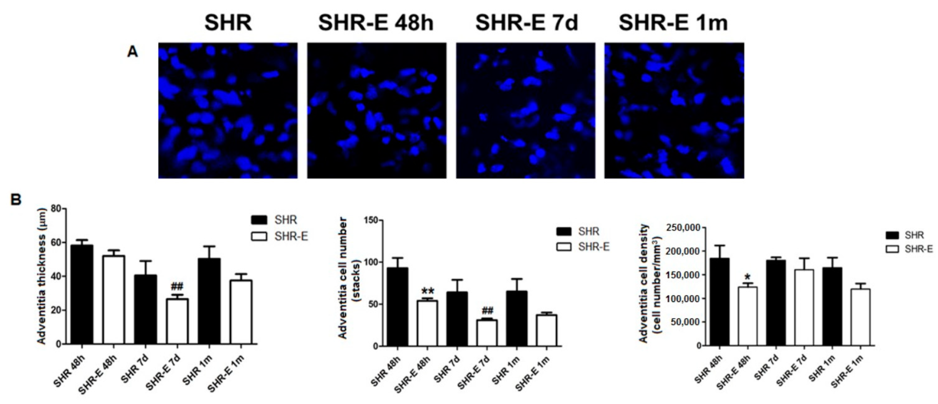 Antioxidants 11 02042 g004