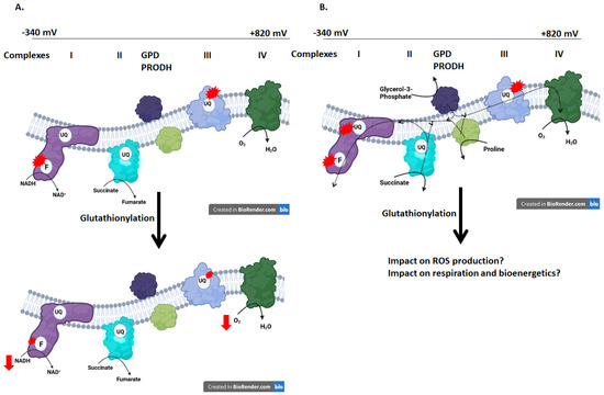 Antioxidants 11 02043 g001