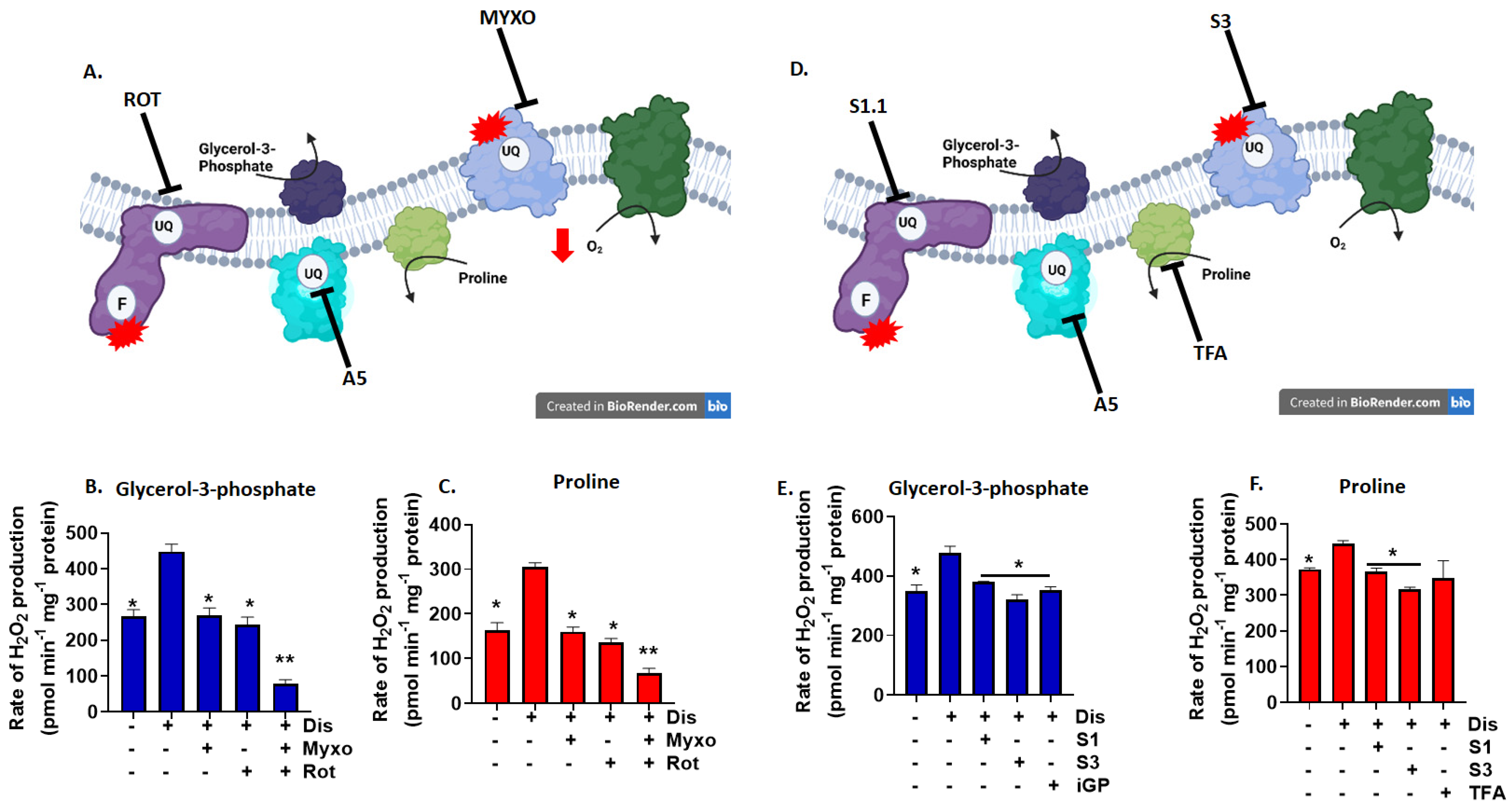 Antioxidants 11 02043 g003