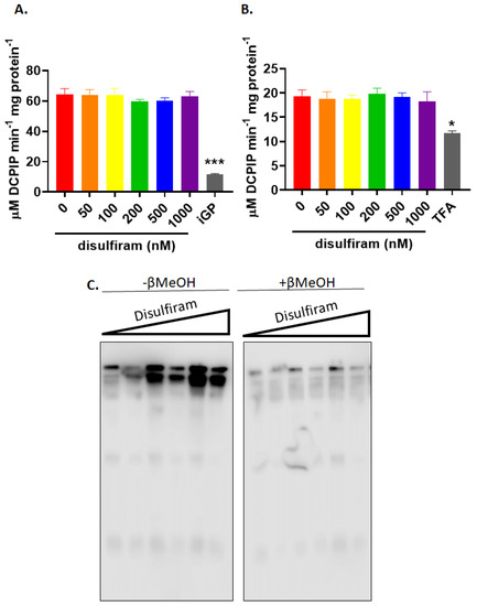 Antioxidants 11 02043 g004