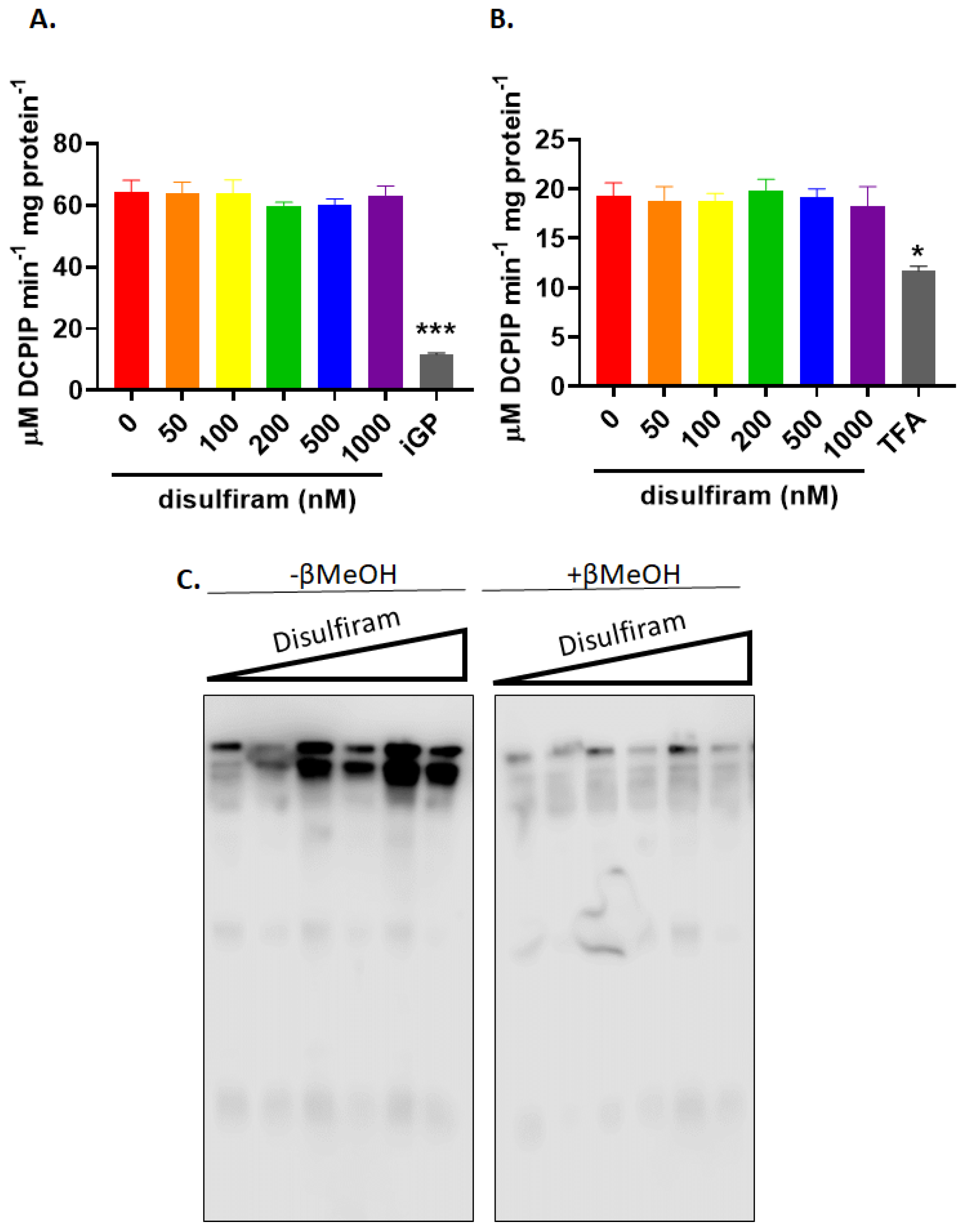 Antioxidants 11 02043 g004