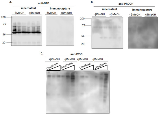 Antioxidants 11 02043 g005