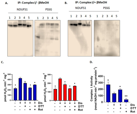 Antioxidants 11 02043 g006