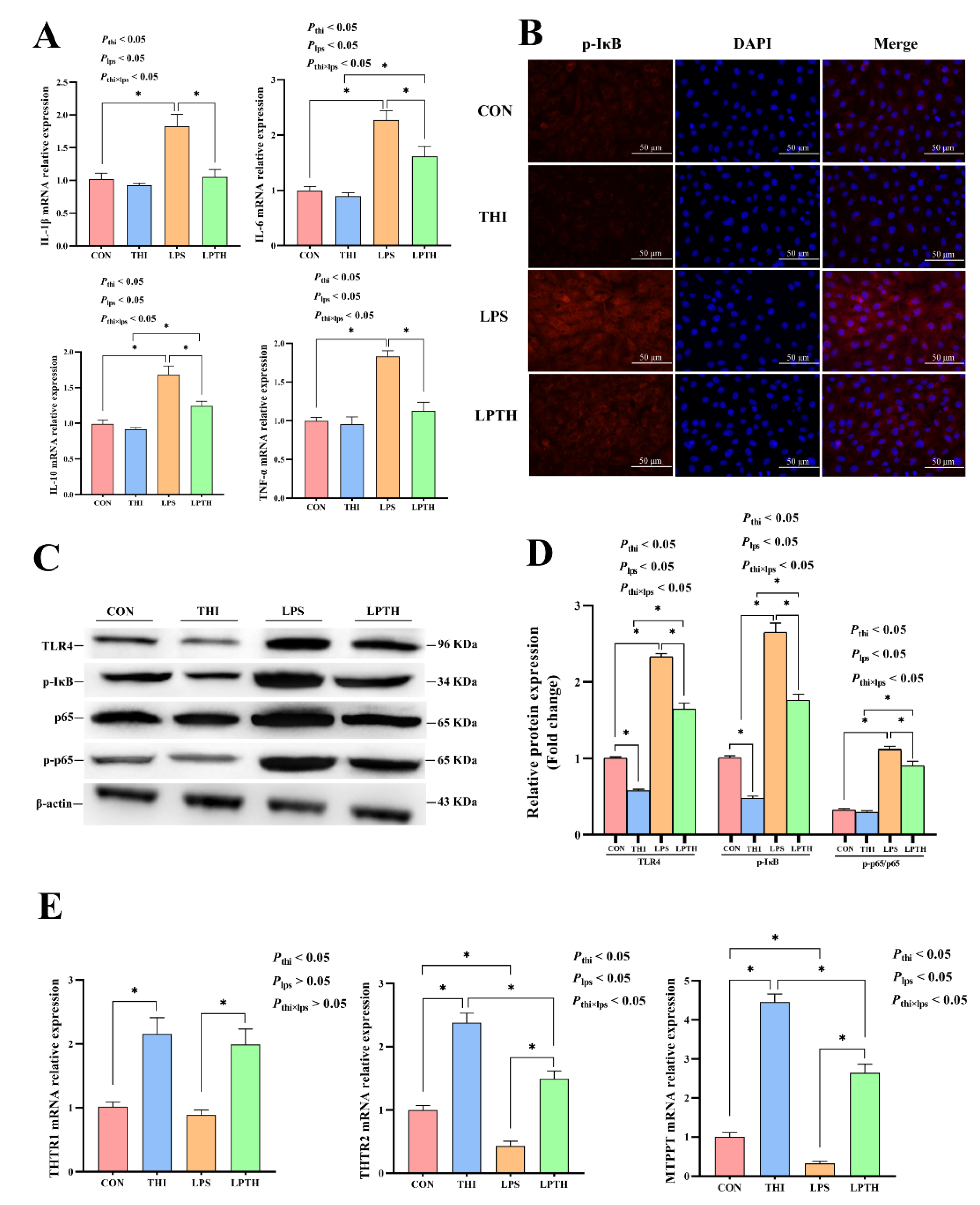 Antioxidants 11 02048 g005 Antioxidants 11 02048 g005
