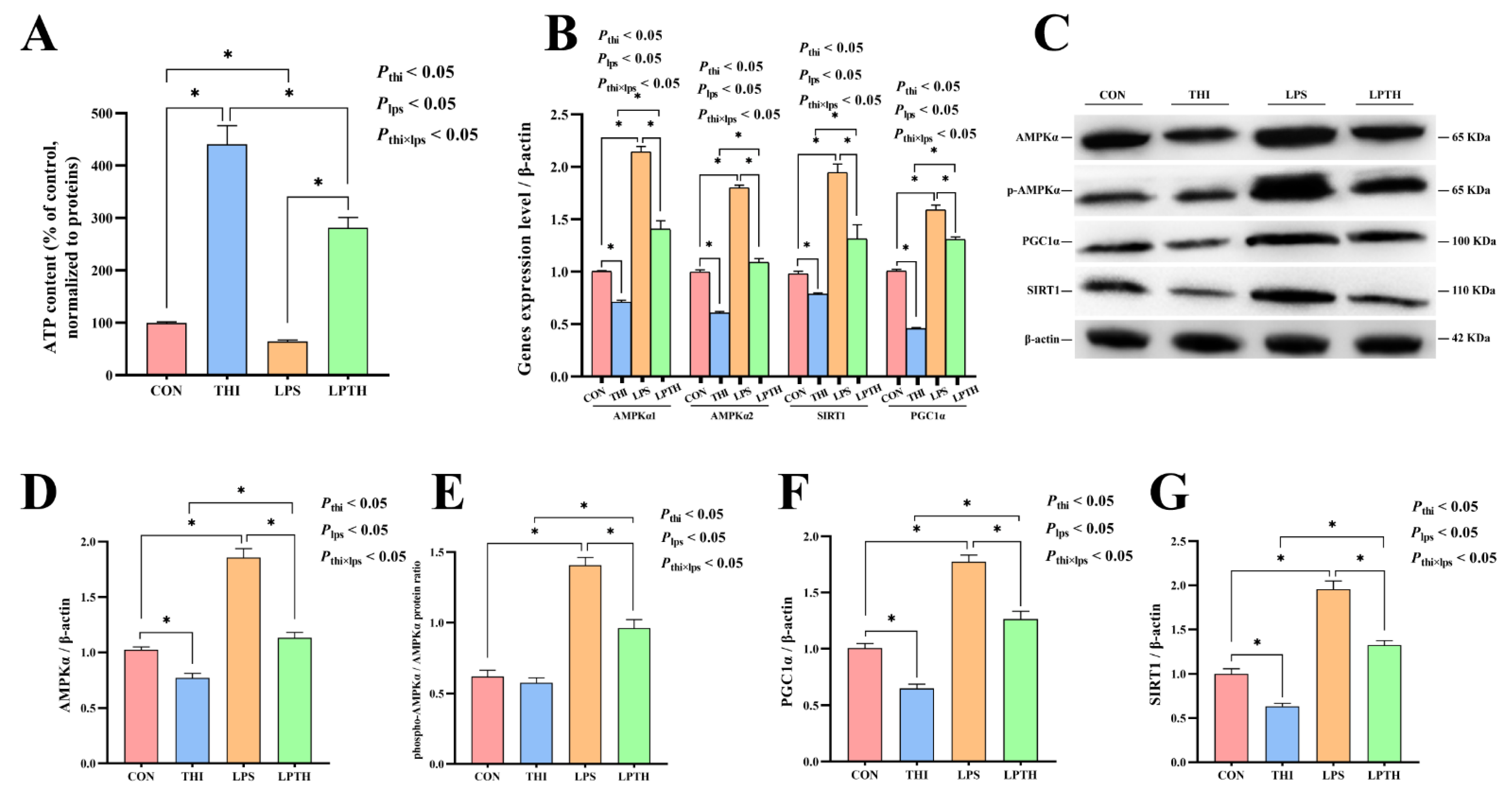 Antioxidants 11 02048 g006 Antioxidants 11 02048 g006