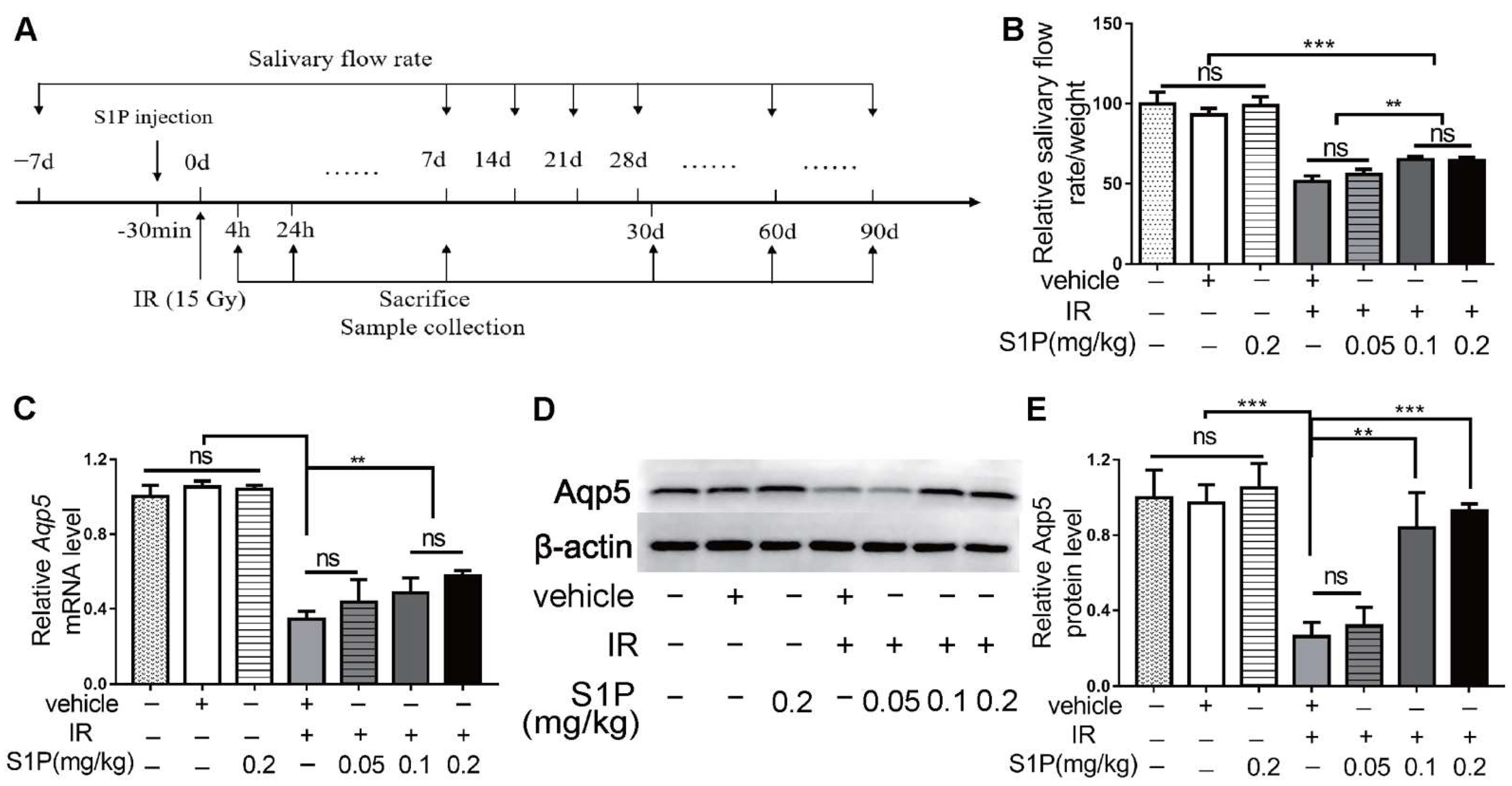 Antioxidants 11 02050 g001