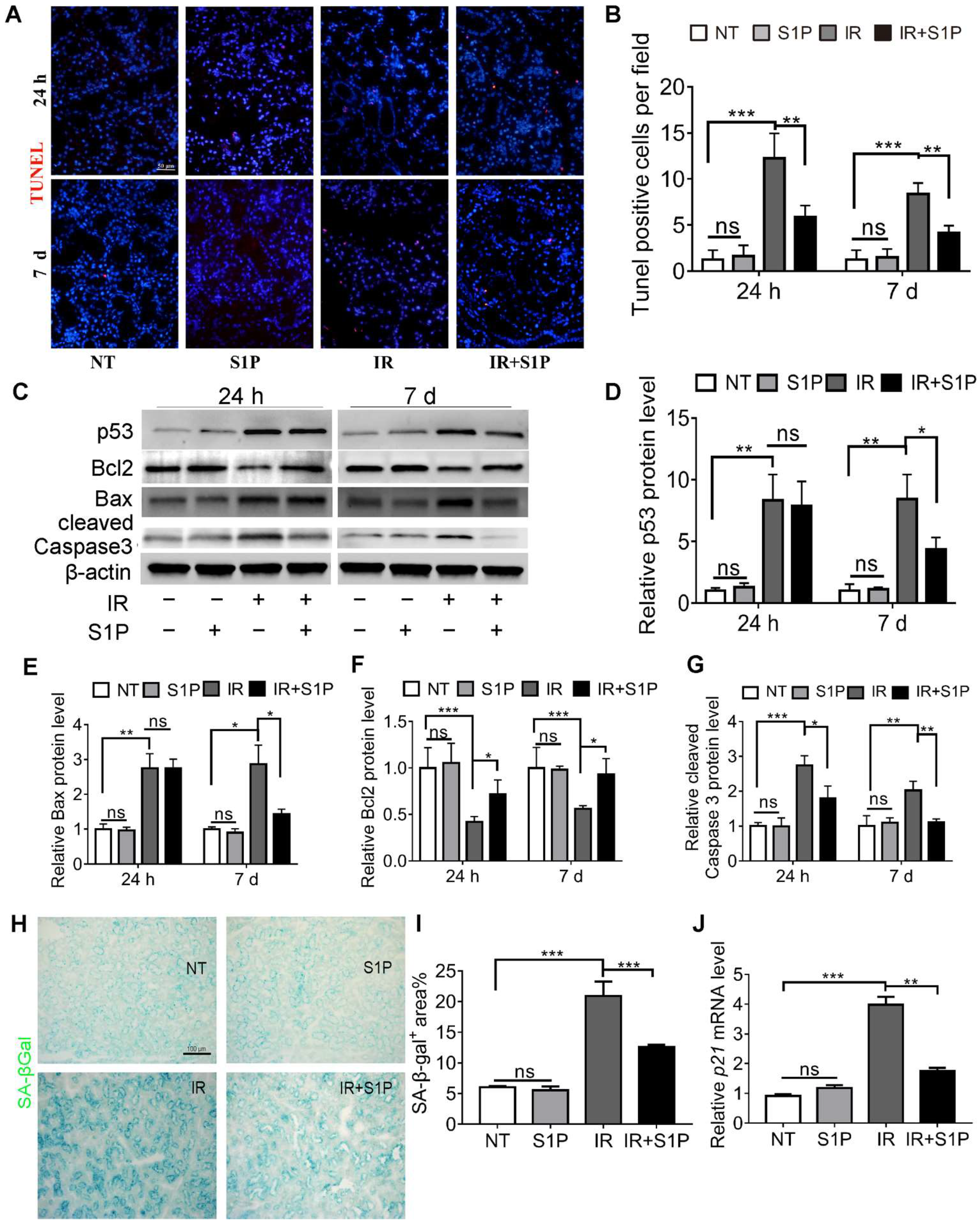 Antioxidants 11 02050 g002